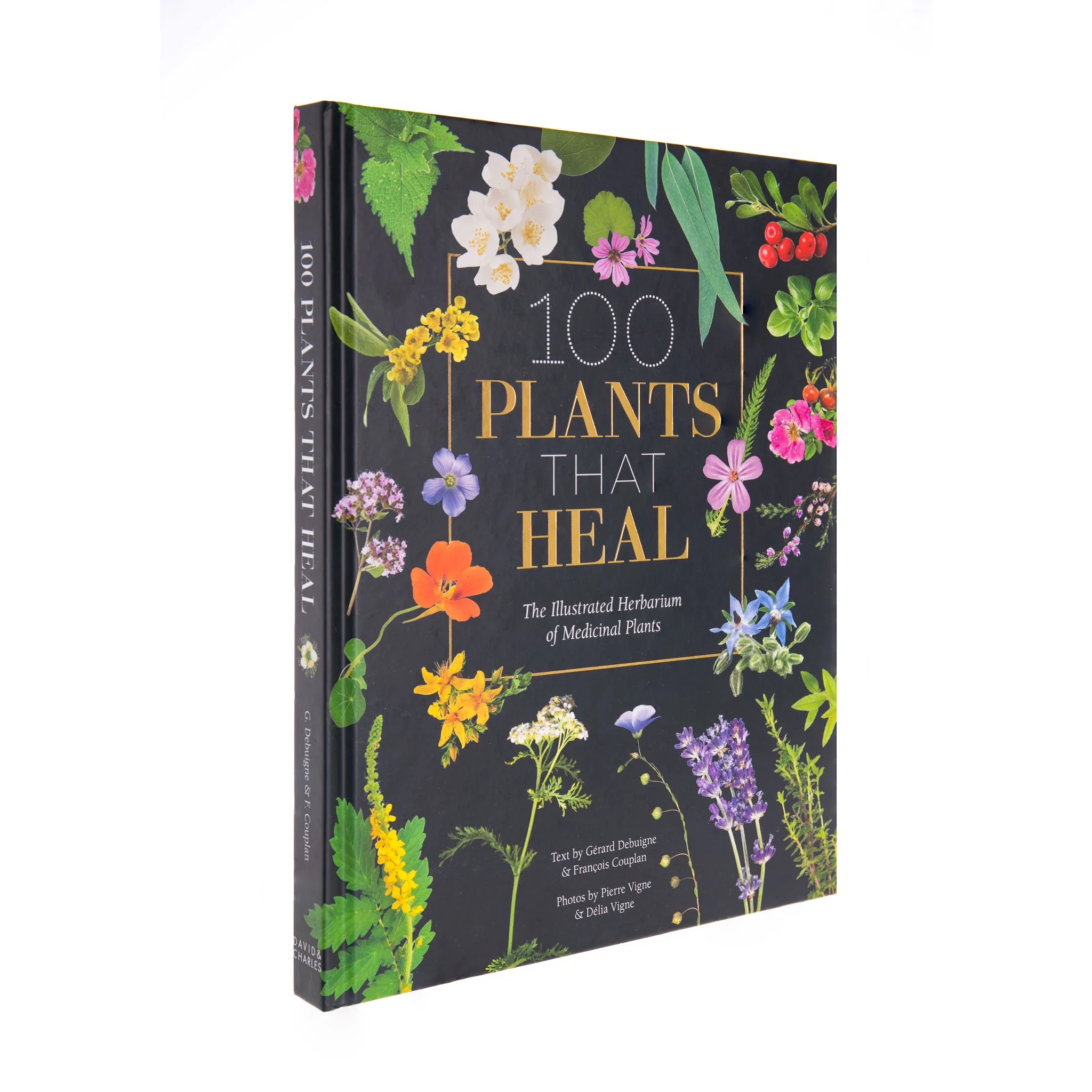 100 PLANTS THAT HEAL: THE ILLUSTRATED HERBARIUM OF MEDICINAL PLANTS