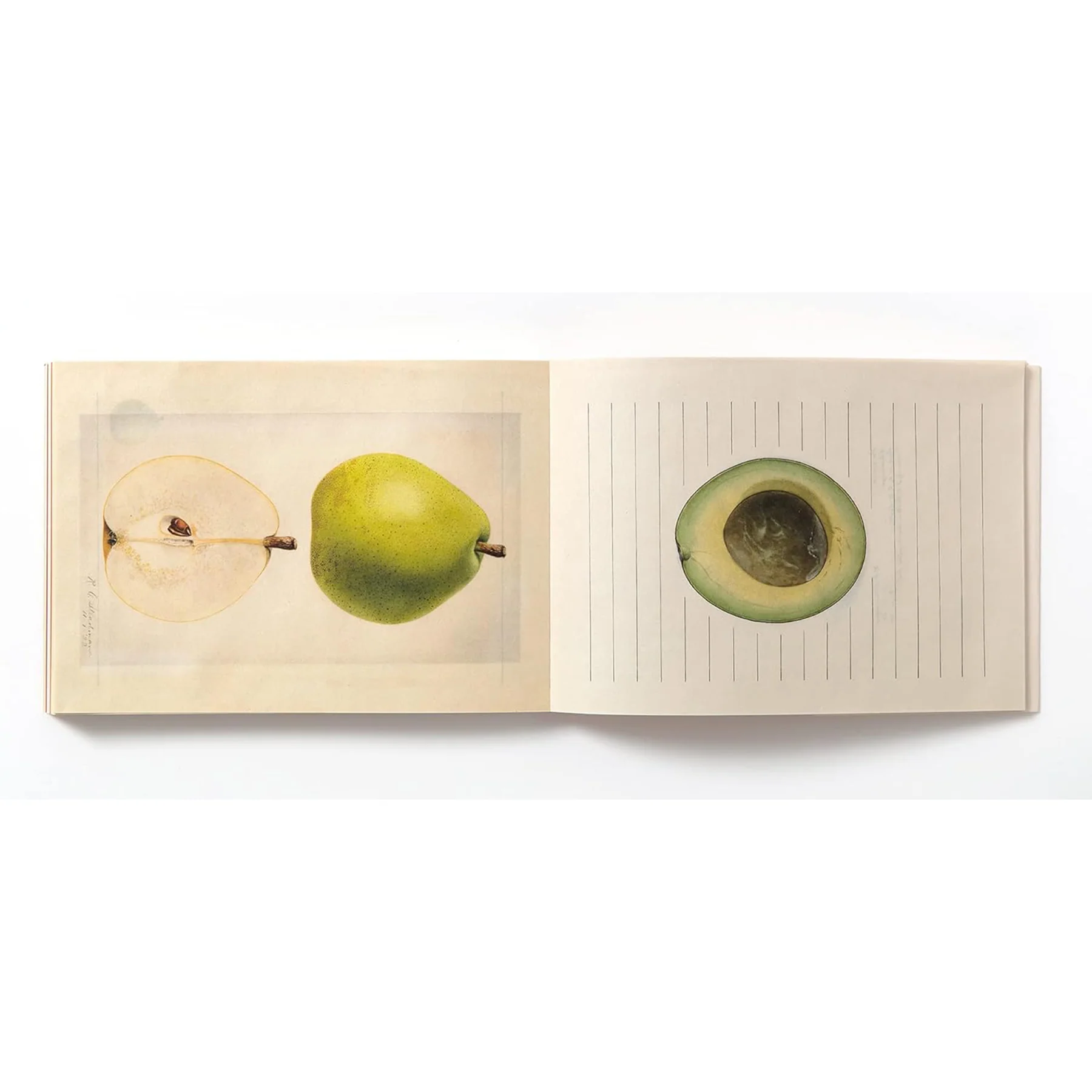 100 WRITING & CRAFTING PAPERS OF FRUIT - Image 2