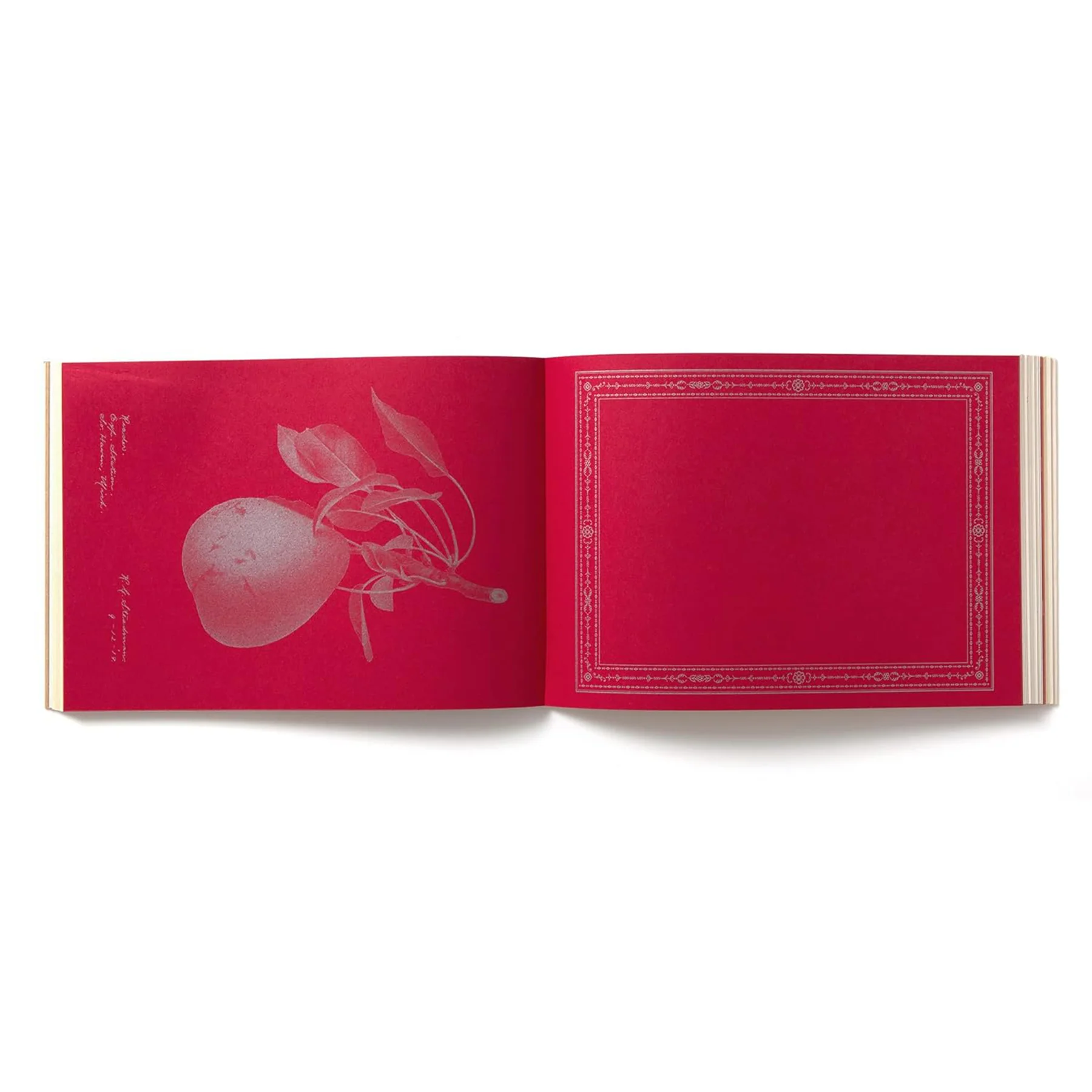 100 WRITING & CRAFTING PAPERS OF FRUIT - Image 3