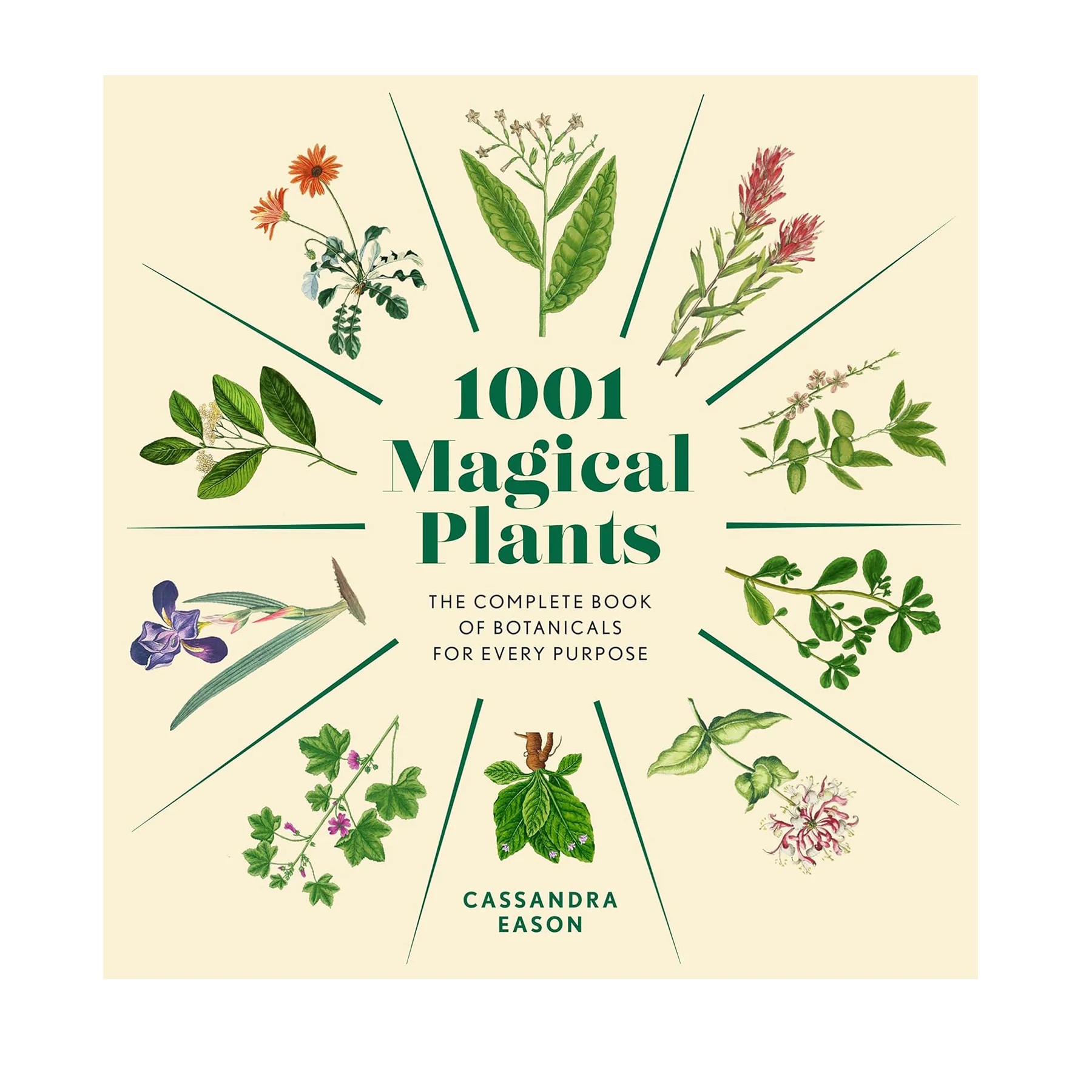1001 MAGICAL PLANTS