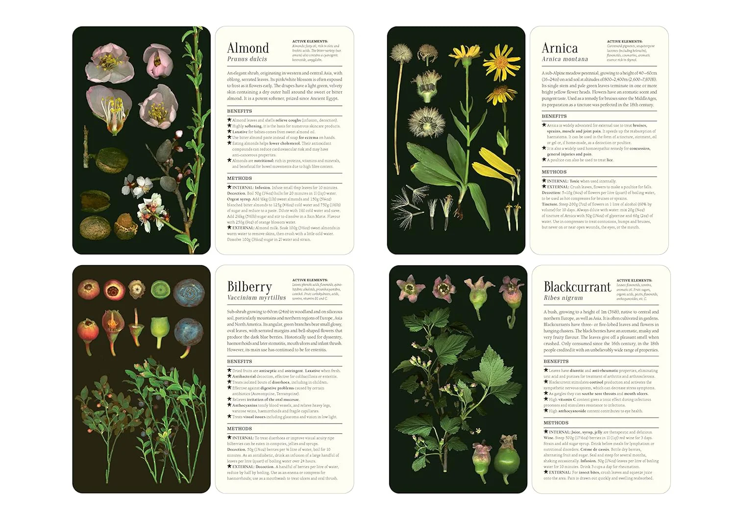 50 PLANTS THAT HEAL CARD DECK - Image 2