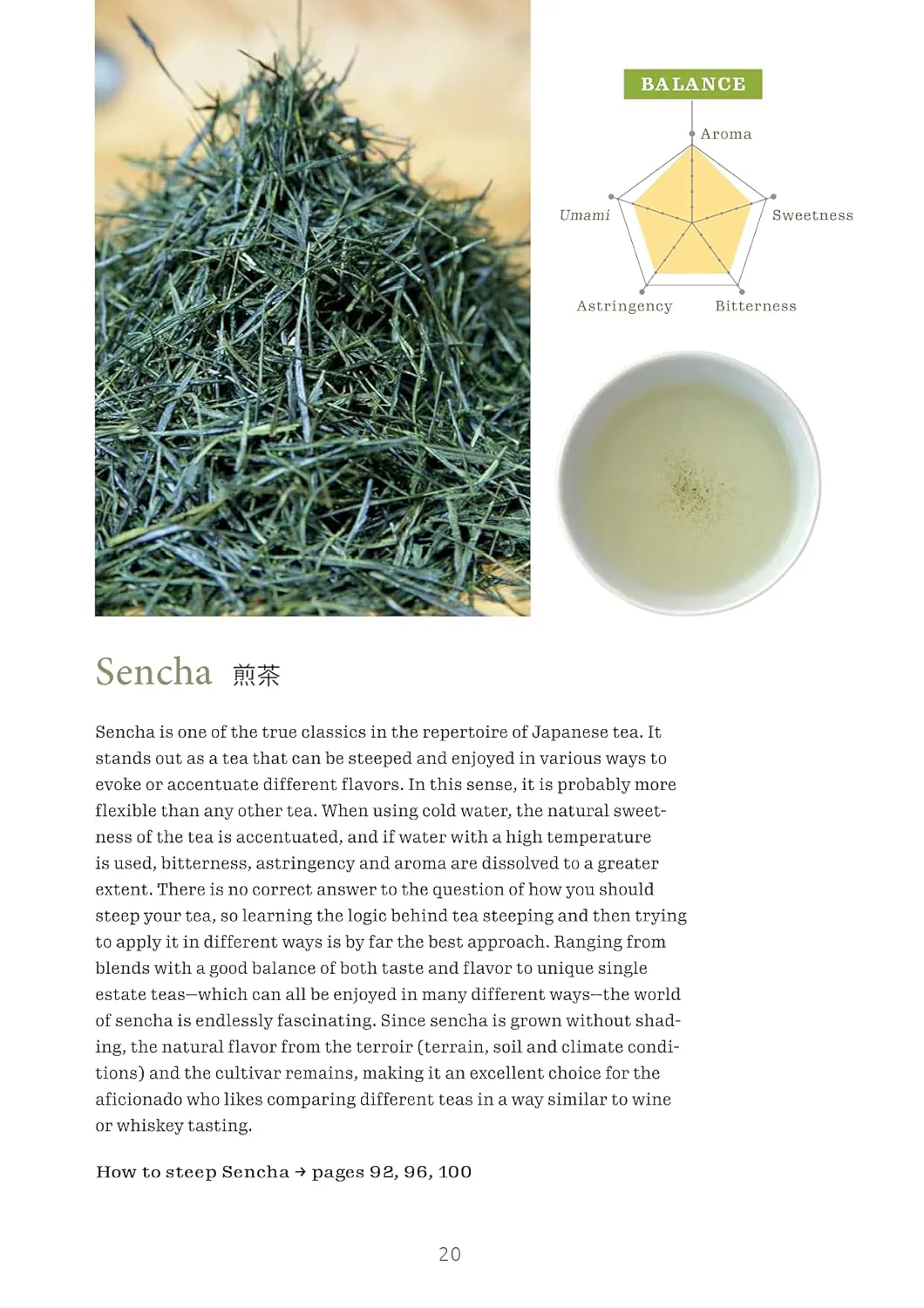 A BEGINNER`S GUIDE TO JAPANESE TEA - Image 2