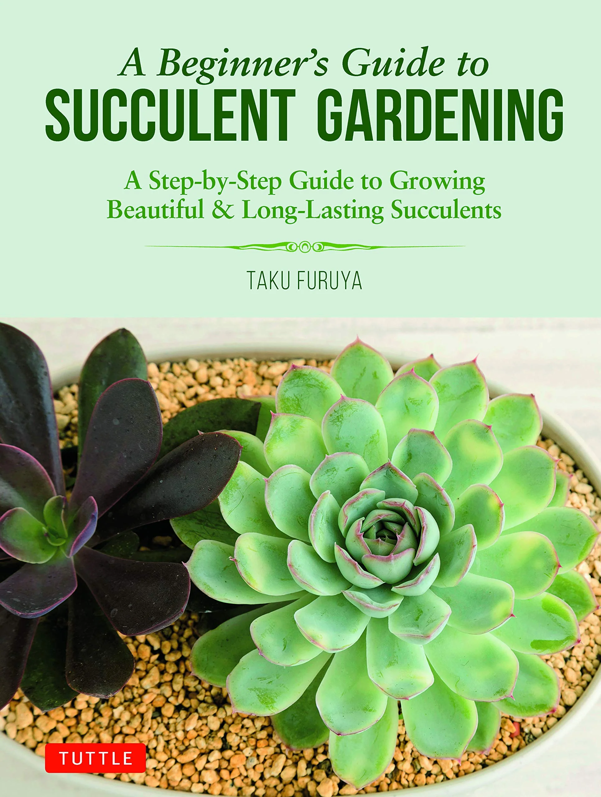 A BEGINNER'S GUIDE TO SUCCULENT GARDENING