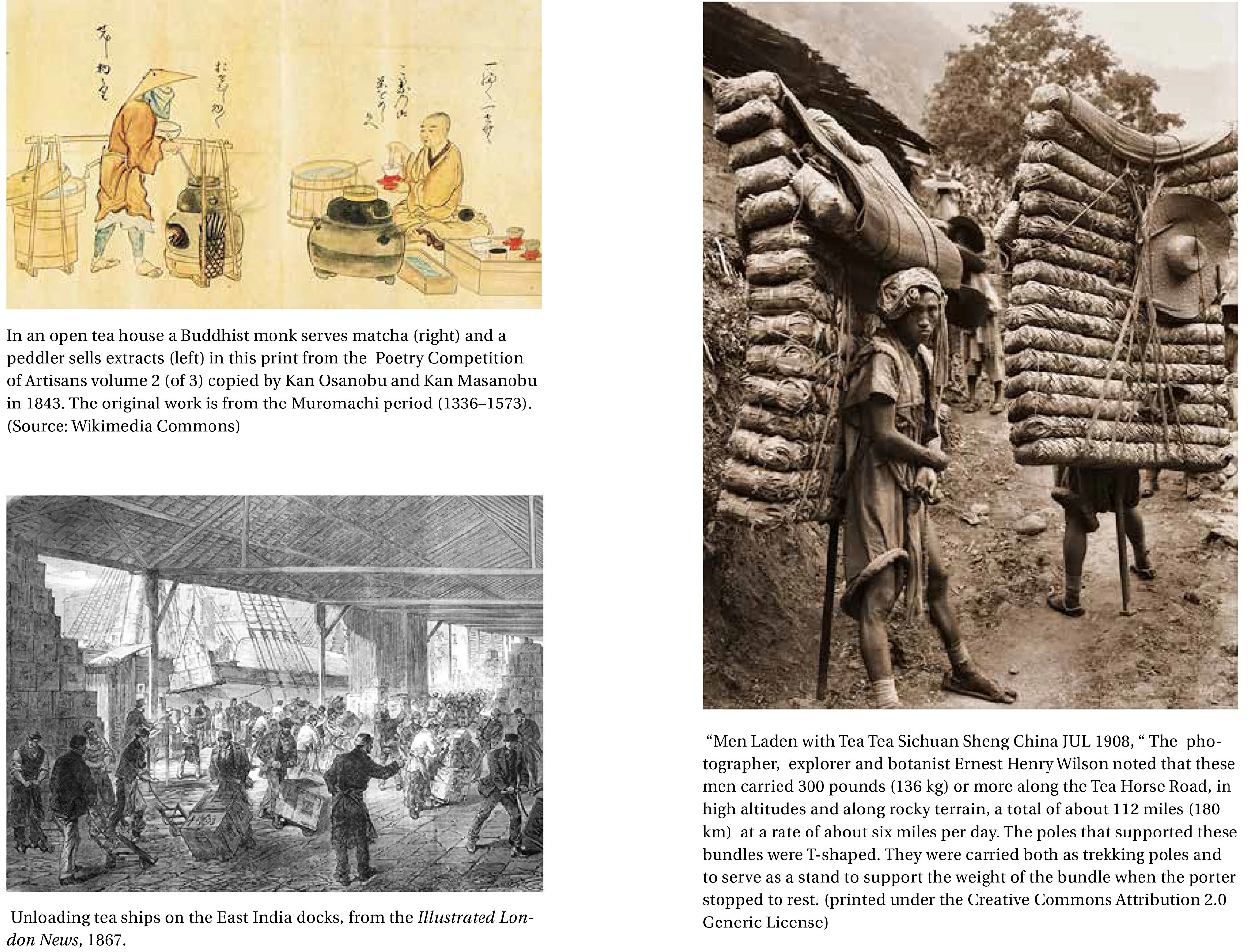 A HISTORY OF TEA - Image 4