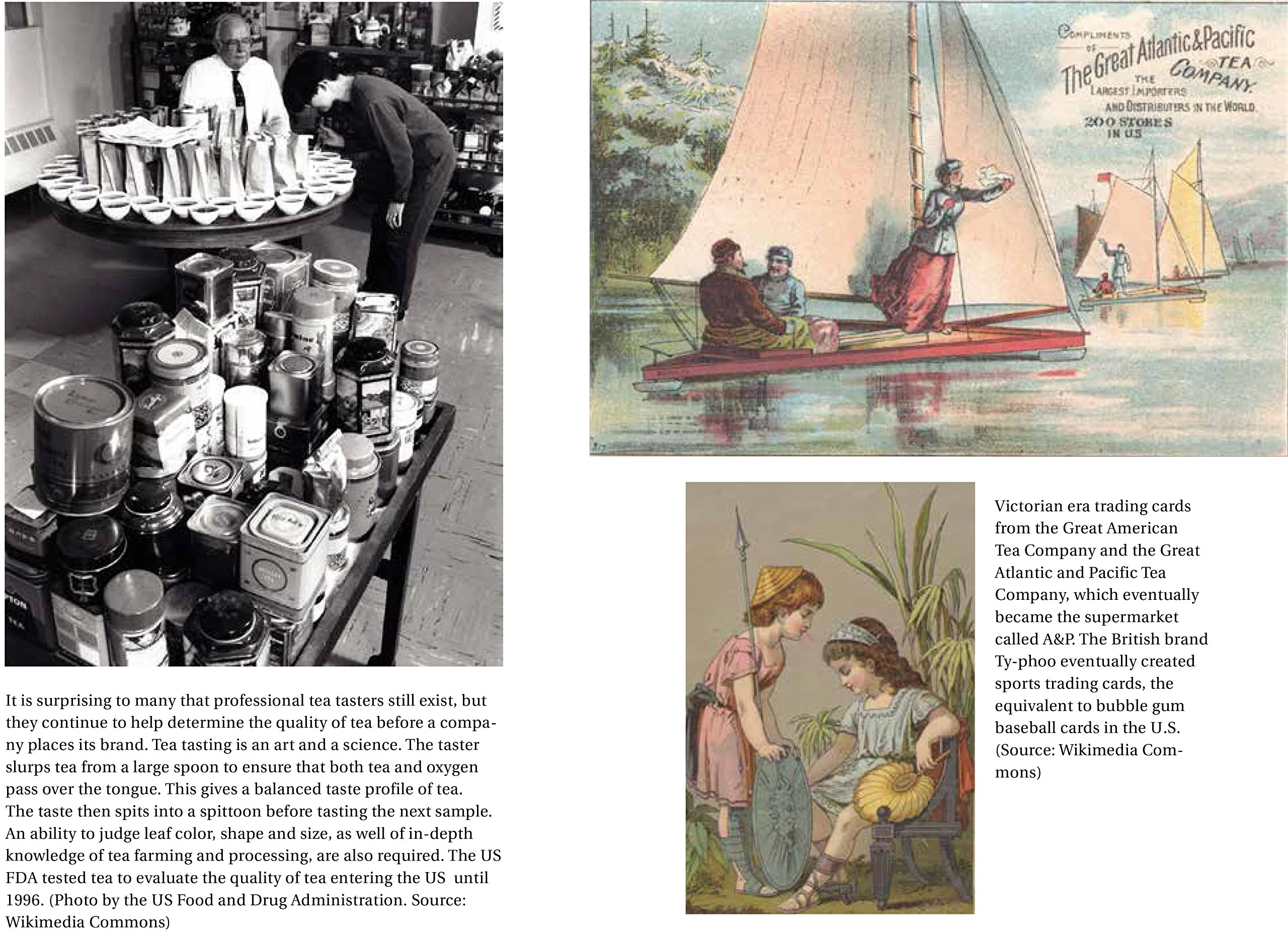 A HISTORY OF TEA - Image 5