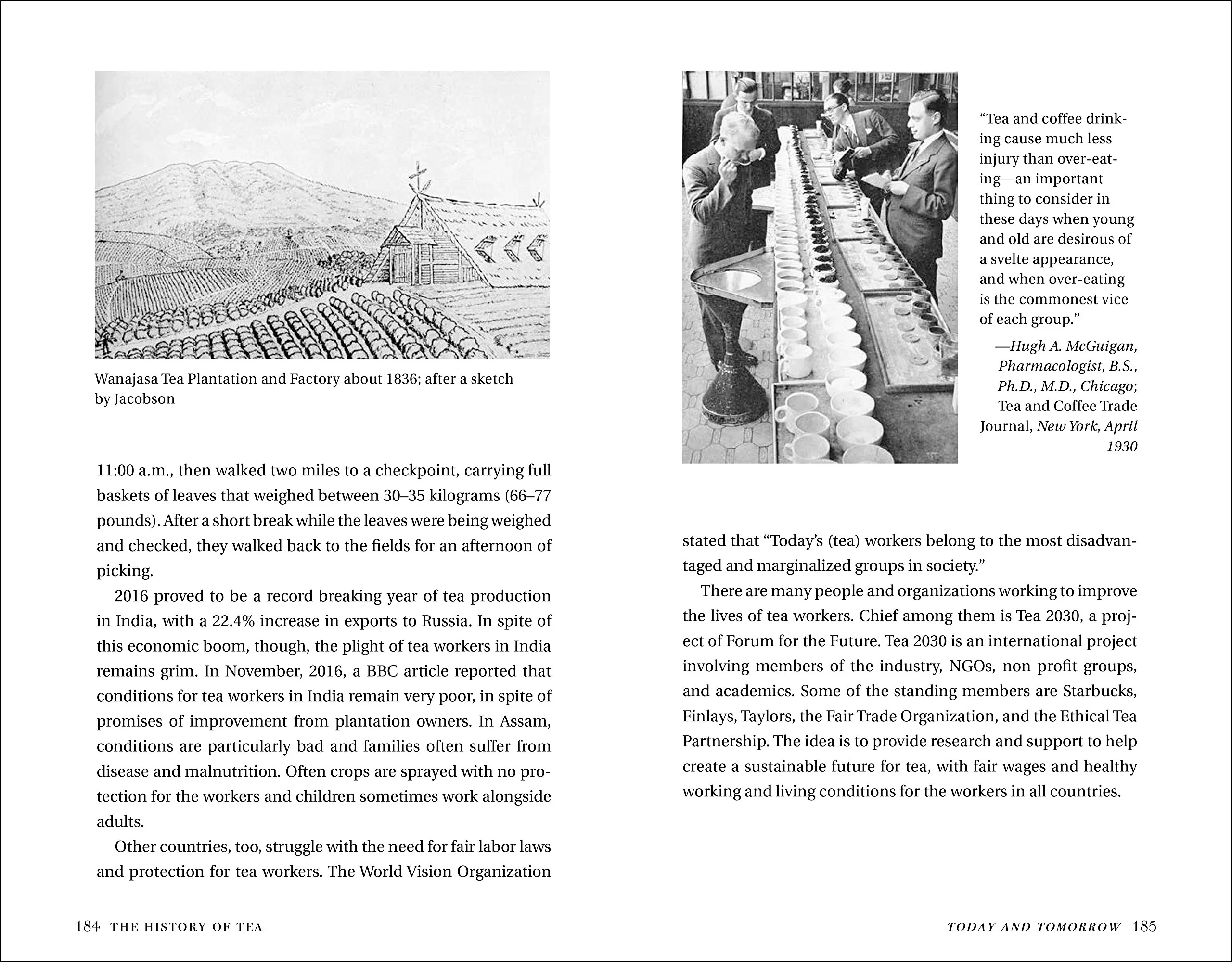 A HISTORY OF TEA - Image 6