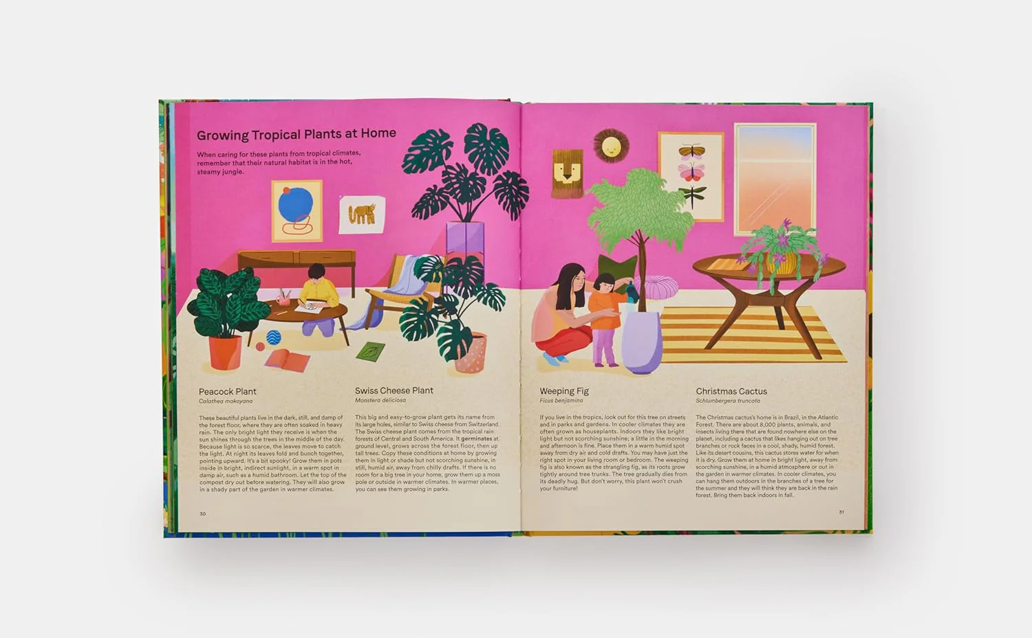 A HOME FOR EVERY PLANT - Image 5