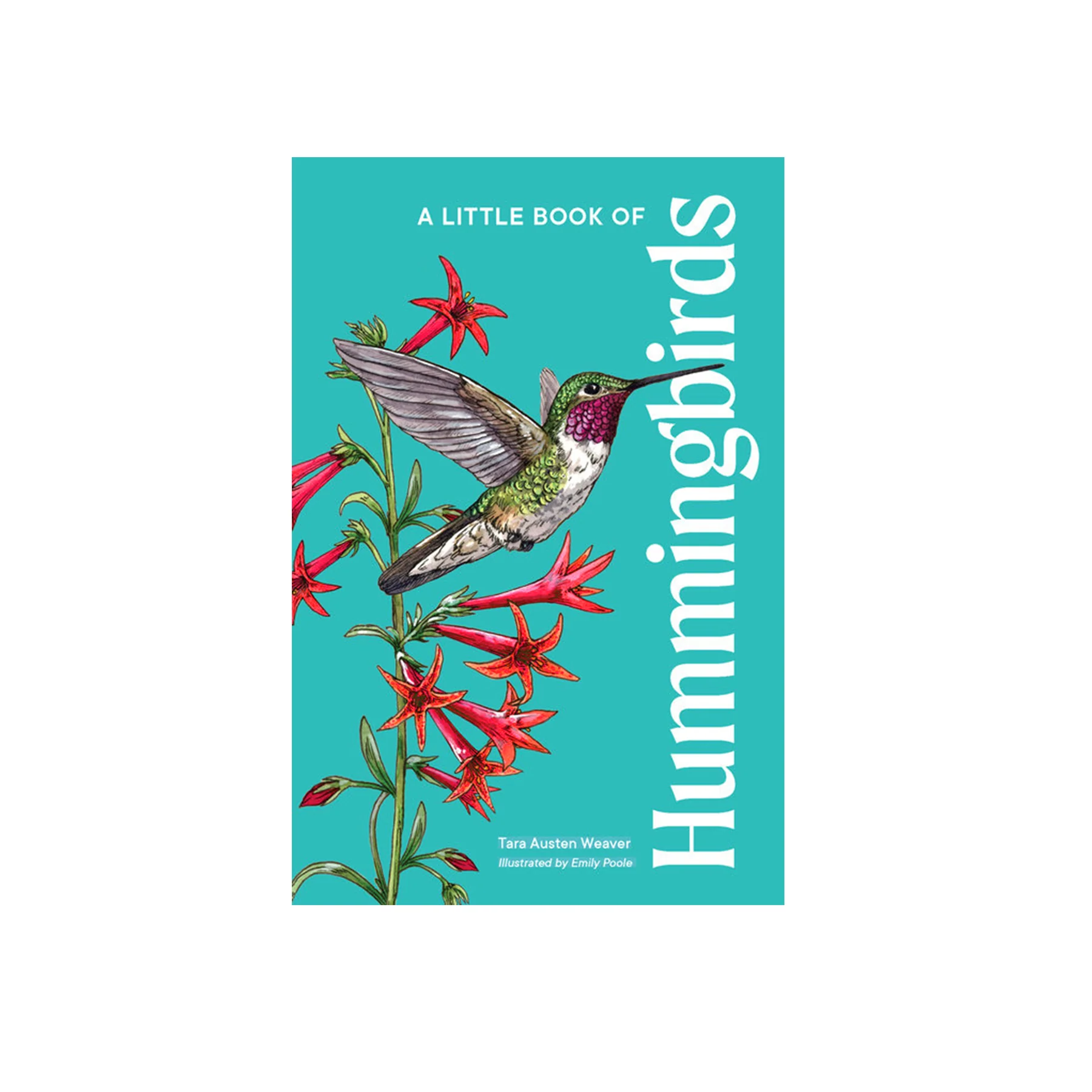 A LITTLE BOOK OF HUMMINGBIRDS