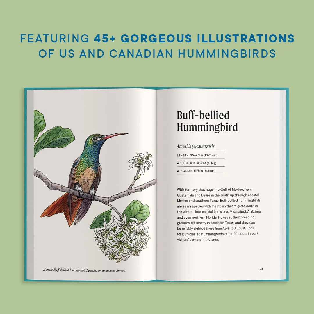 A LITTLE BOOK OF HUMMINGBIRDS - Image 3