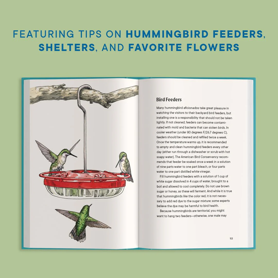 A LITTLE BOOK OF HUMMINGBIRDS - Image 4