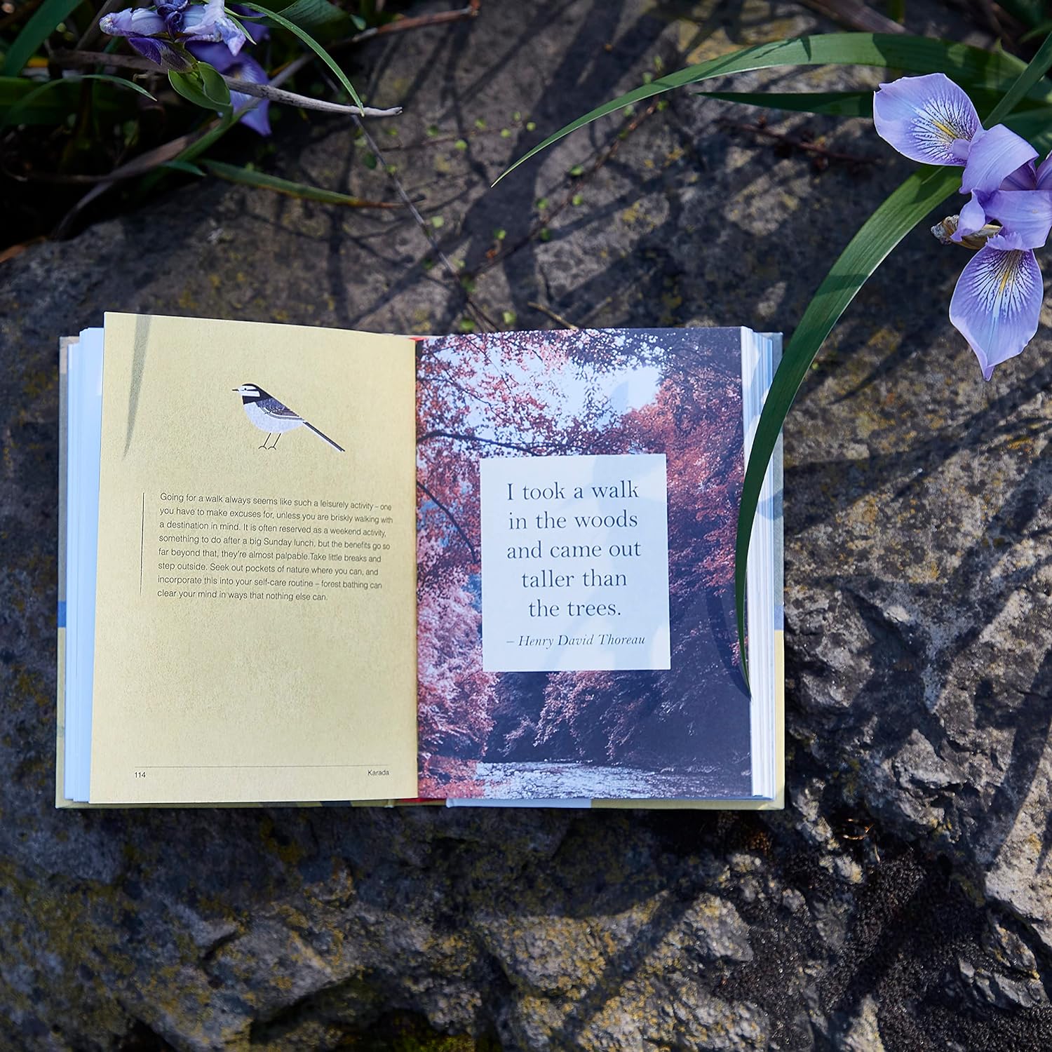 A LITTLE BOOK OF JAPANESE CONTENTMENTS - Image 2
