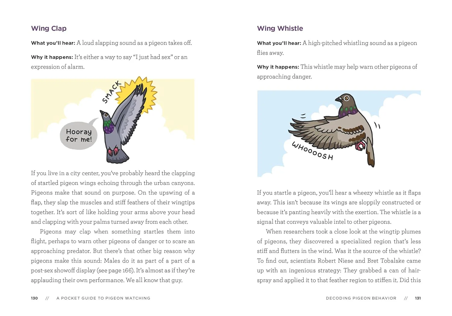 A POCKET GUIDE TO PIGEON WATCHING - Image 4