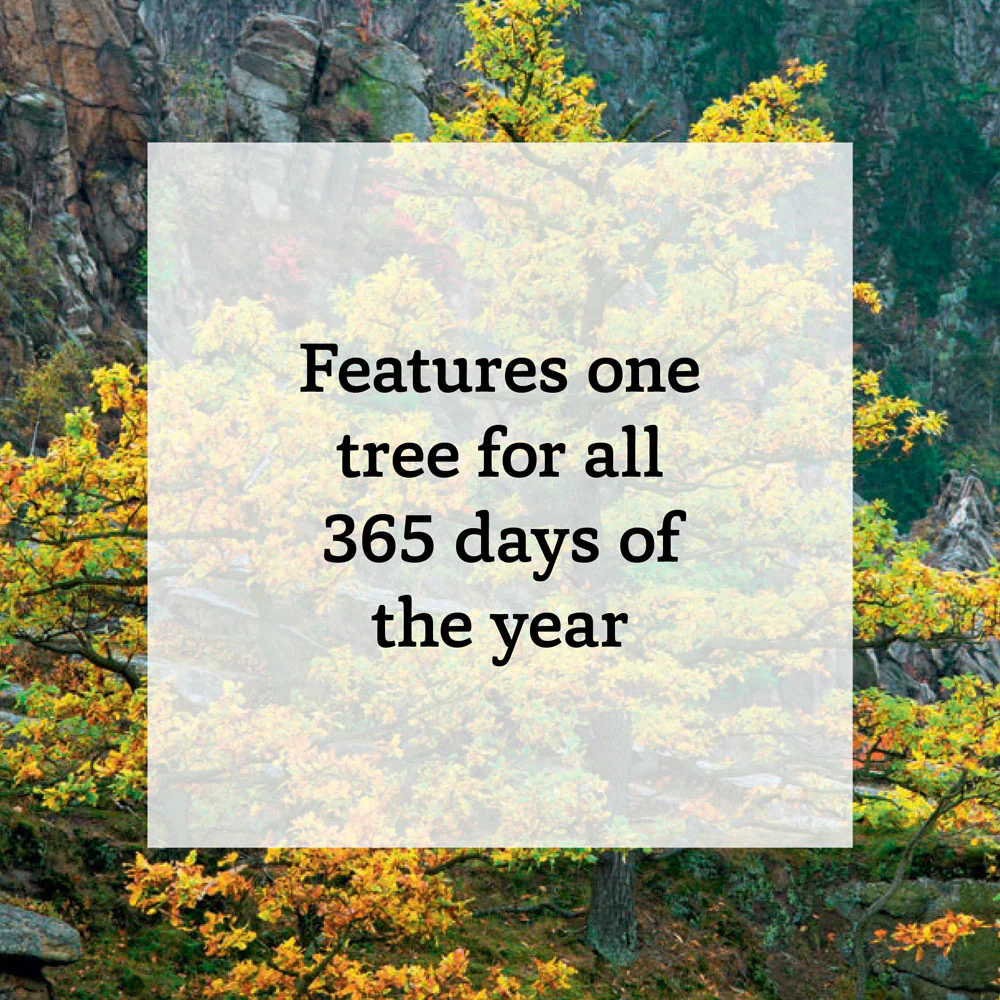 A TREE A DAY - 365 OF THE WORLD'S MOST MAJESTIC TREES - Image 3