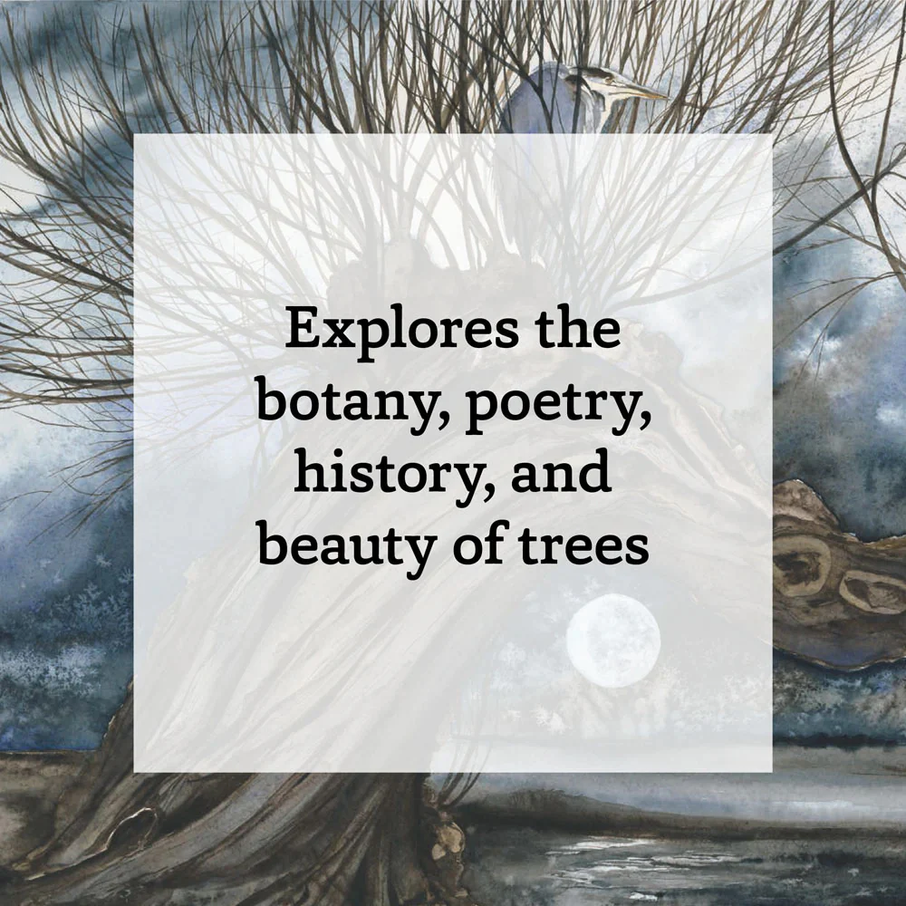 A TREE A DAY - 365 OF THE WORLD'S MOST MAJESTIC TREES - Image 4