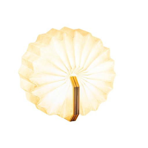 ACCORDION LAMP