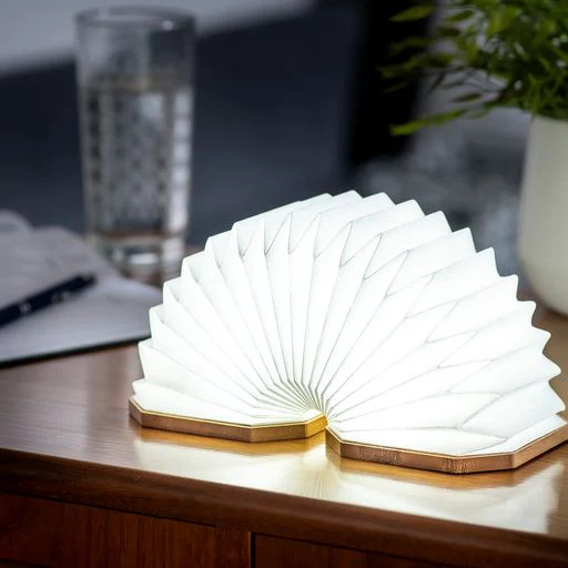 ACCORDION LAMP - Image 2