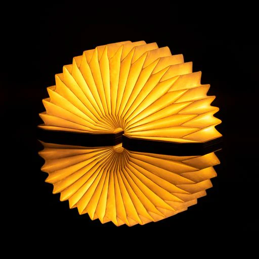 ACCORDION LAMP - Image 5