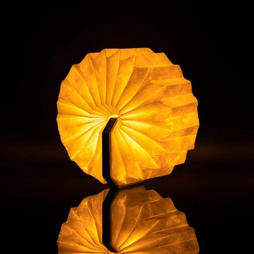 ACCORDION LAMP - Image 6