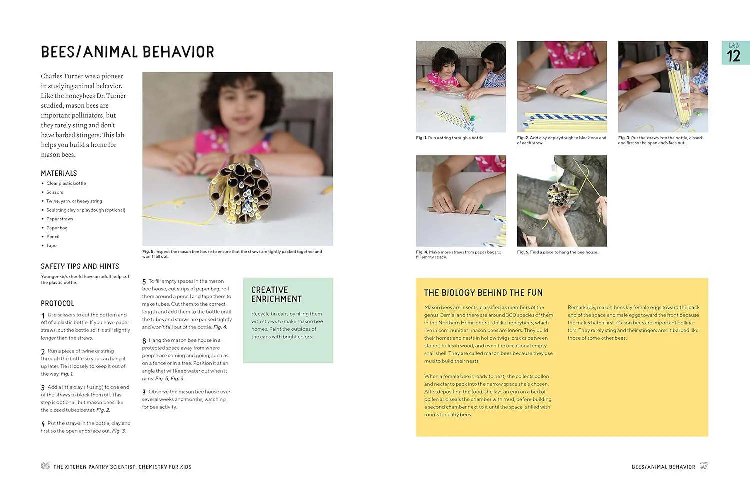BIOLOGY FOR KIDS - Image 3
