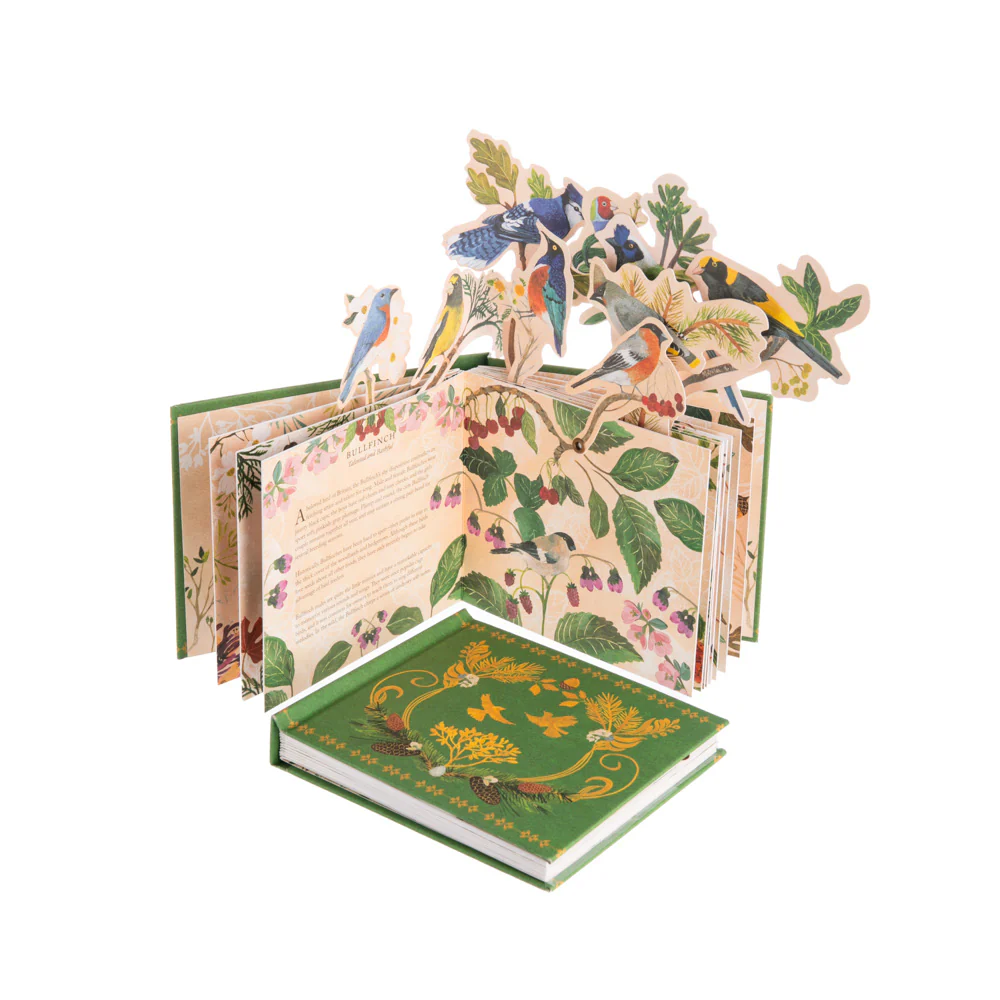 BIRDS IN A BOOK - Image 2