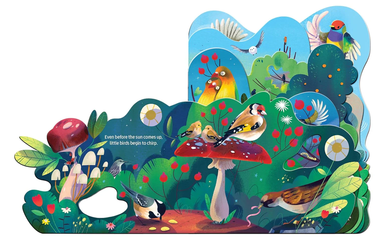 BIRDSONG - Image 2