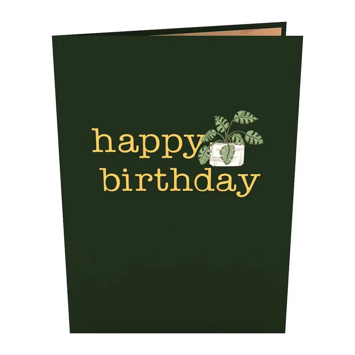 BIRTHDAY HOUSEPLANTS POP-UP CARD - Image 3