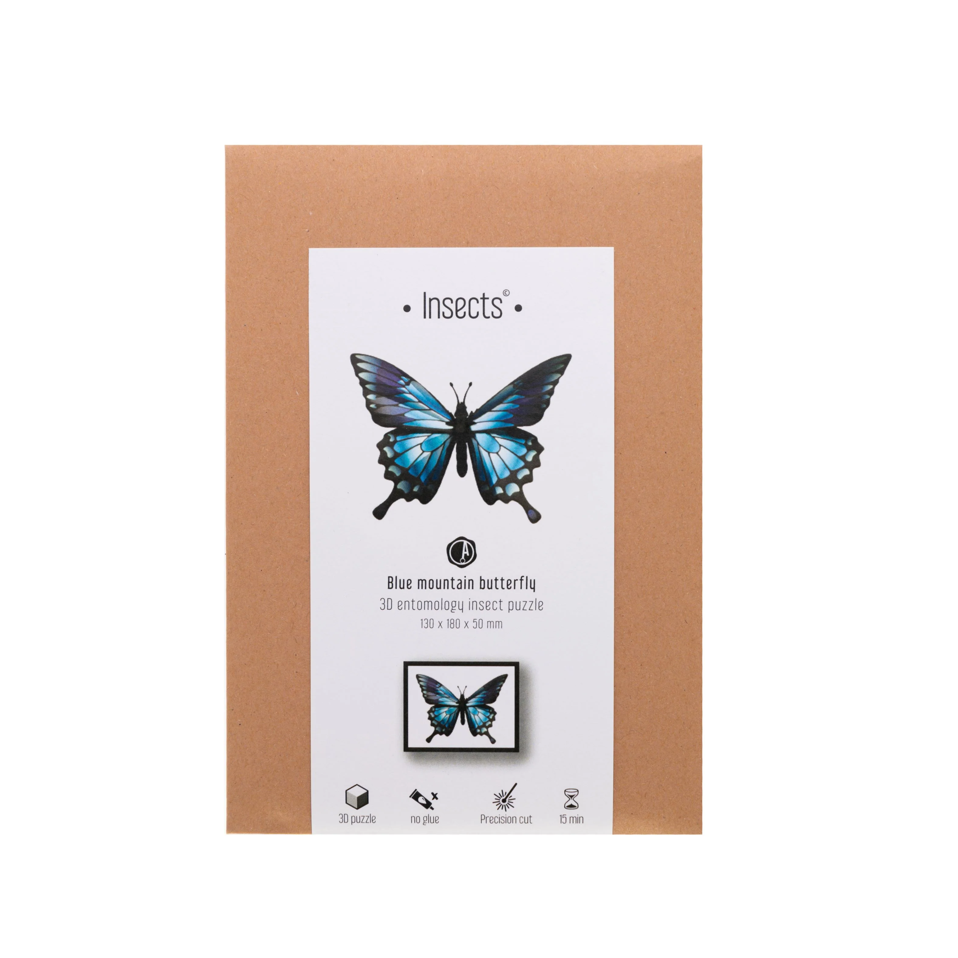 BLUE MOUNTAIN BUTTERFLY CRAFT KIT - Image 3