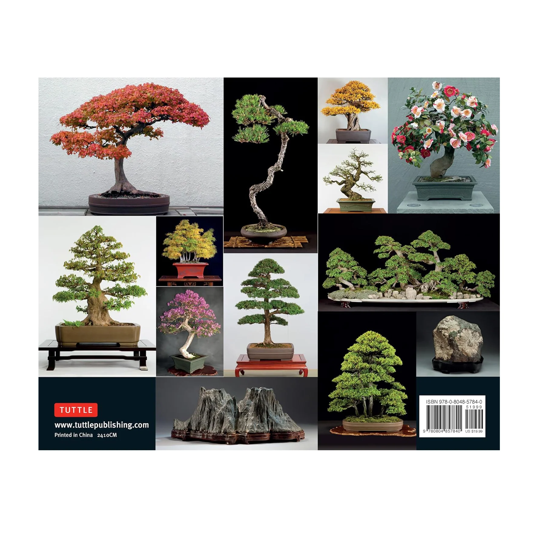 BONSAI AND PENJING: AMBASSADORS OF PEACE & BEAUTY - Image 2