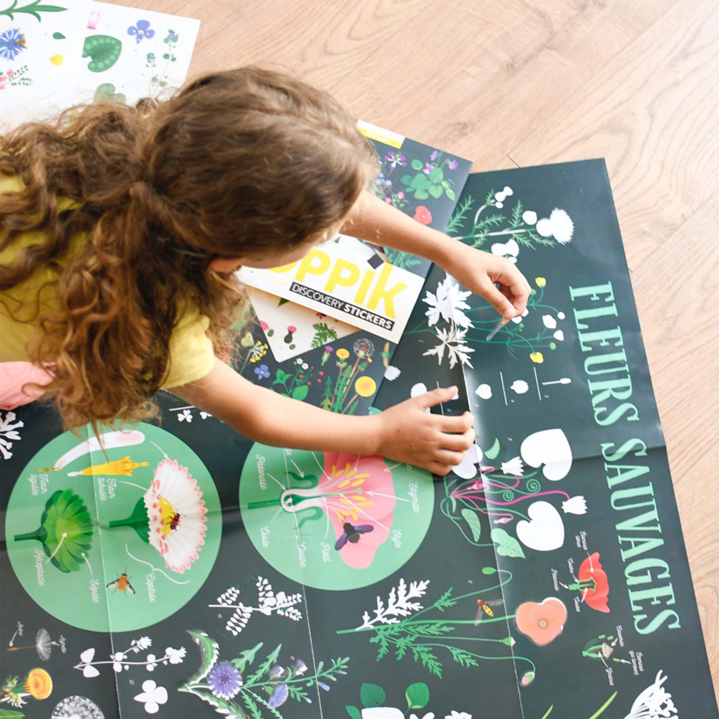 BOTANICAL DISCOVERY POSTER - Image 3