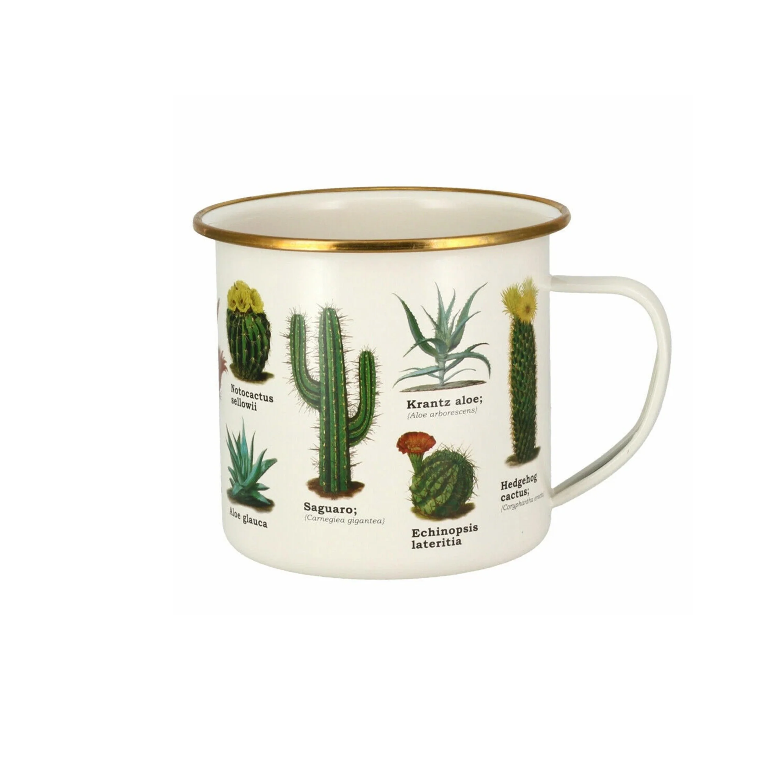 CACTI & SUCCULENTS ENAMEL MUG