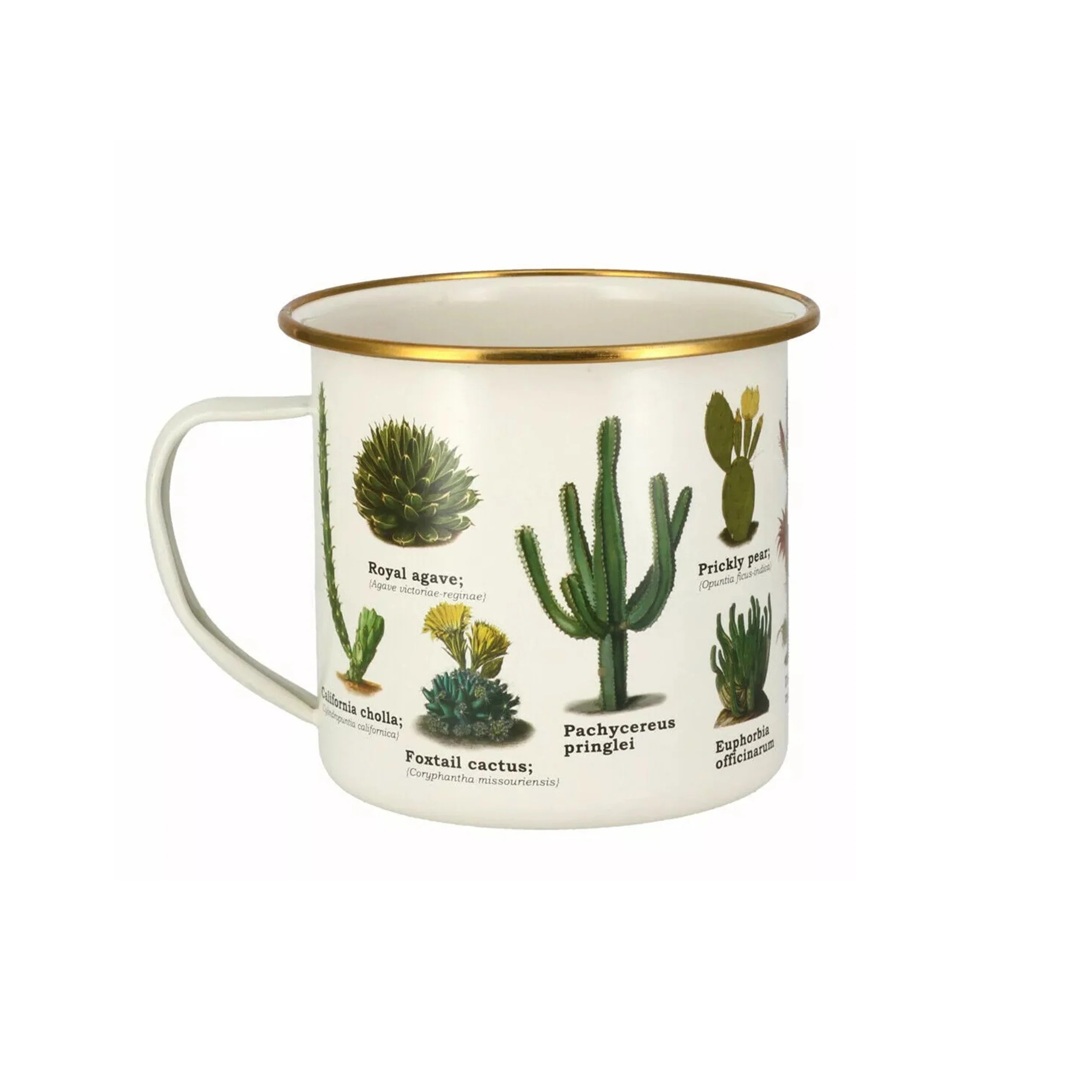 CACTI & SUCCULENTS ENAMEL MUG - Image 2
