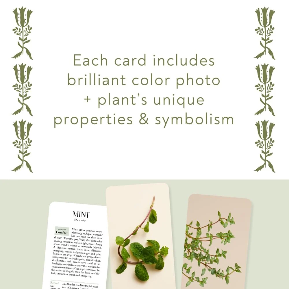 BOTANICALS DECK: 70 PLANTS & FLOWERS TO ENHANCE YOUR LIFE - Image 3