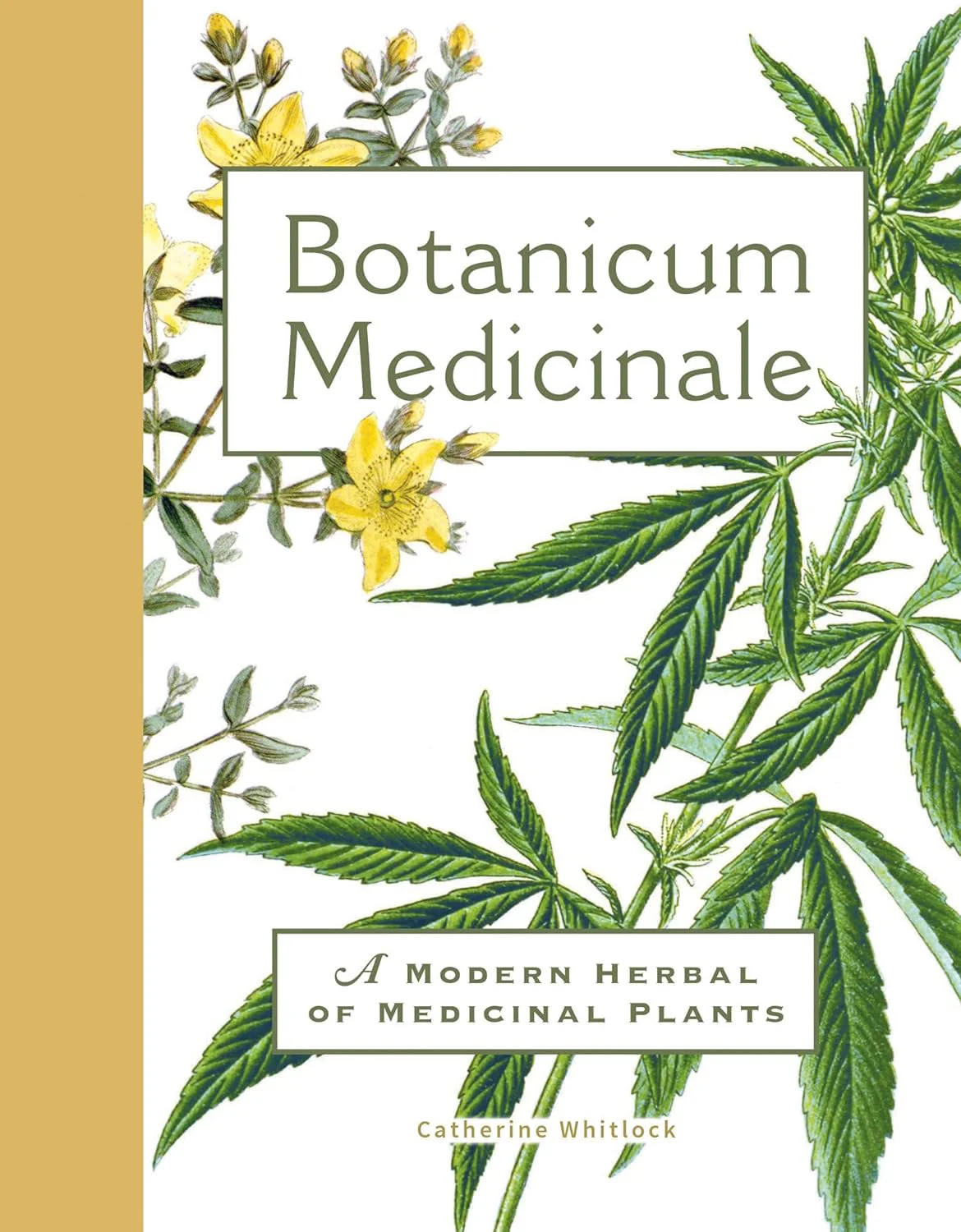 BOTANICUM MEDICINALE