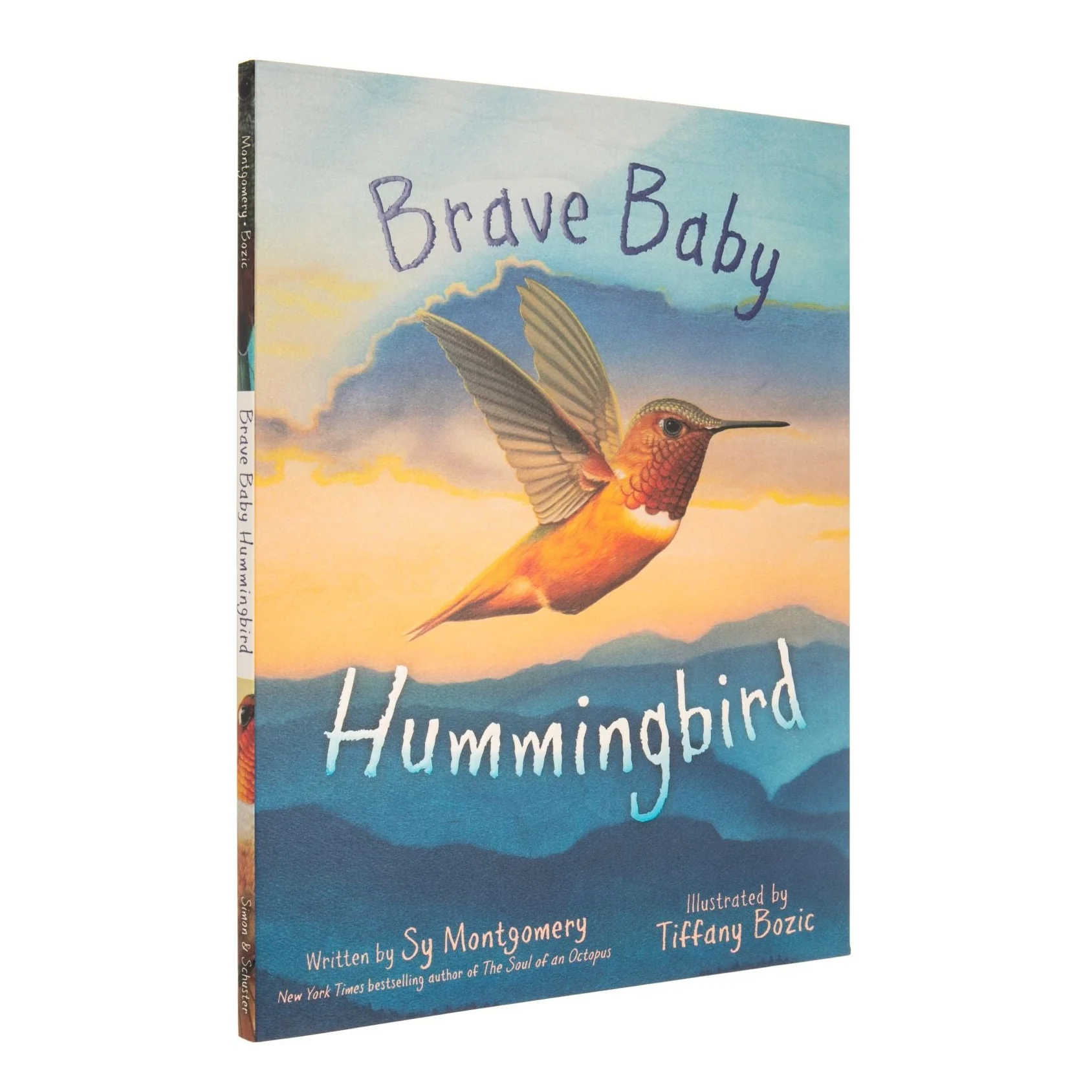 BRAVE BABY HUMMINGBIRD