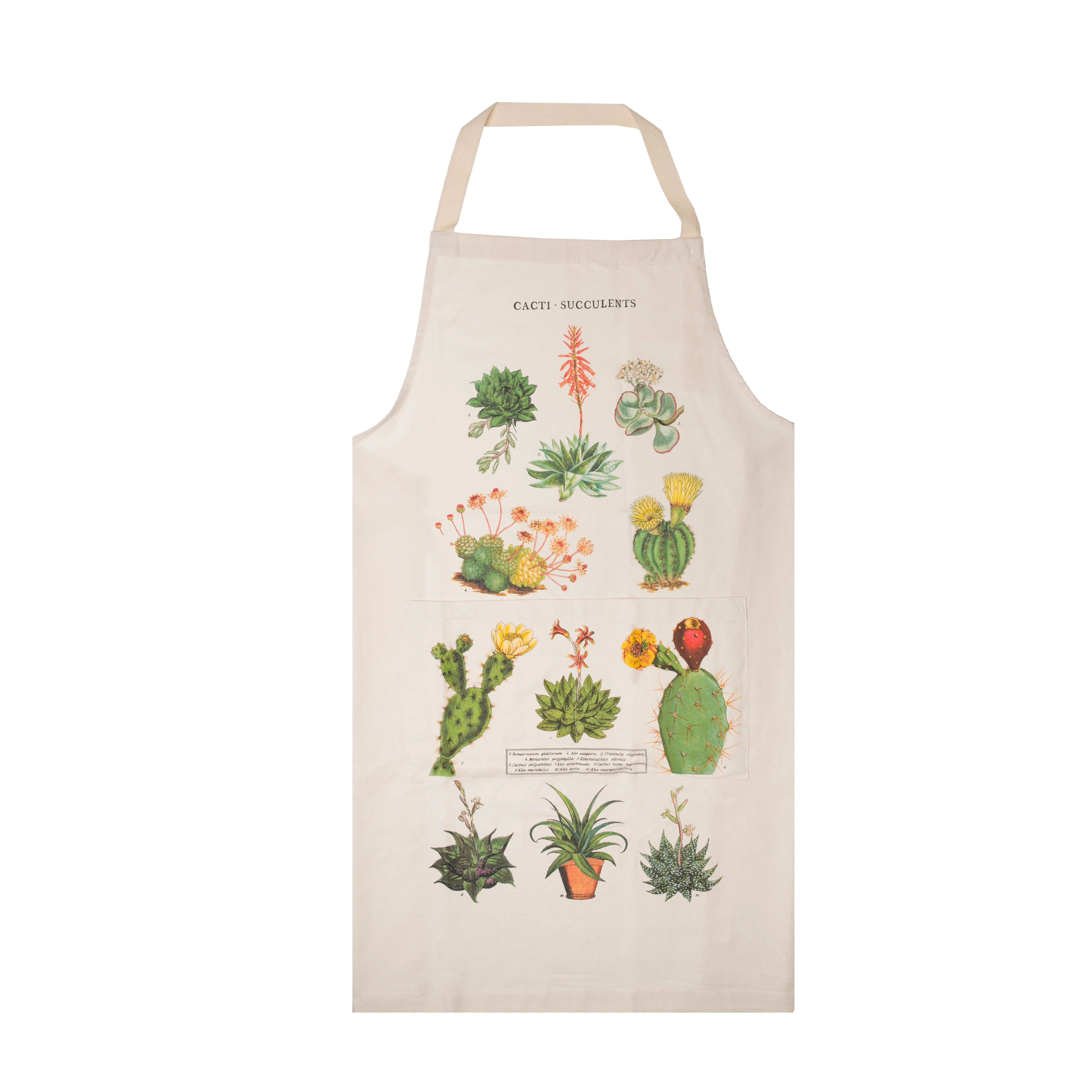 CACTI & SUCCULENTS APRON