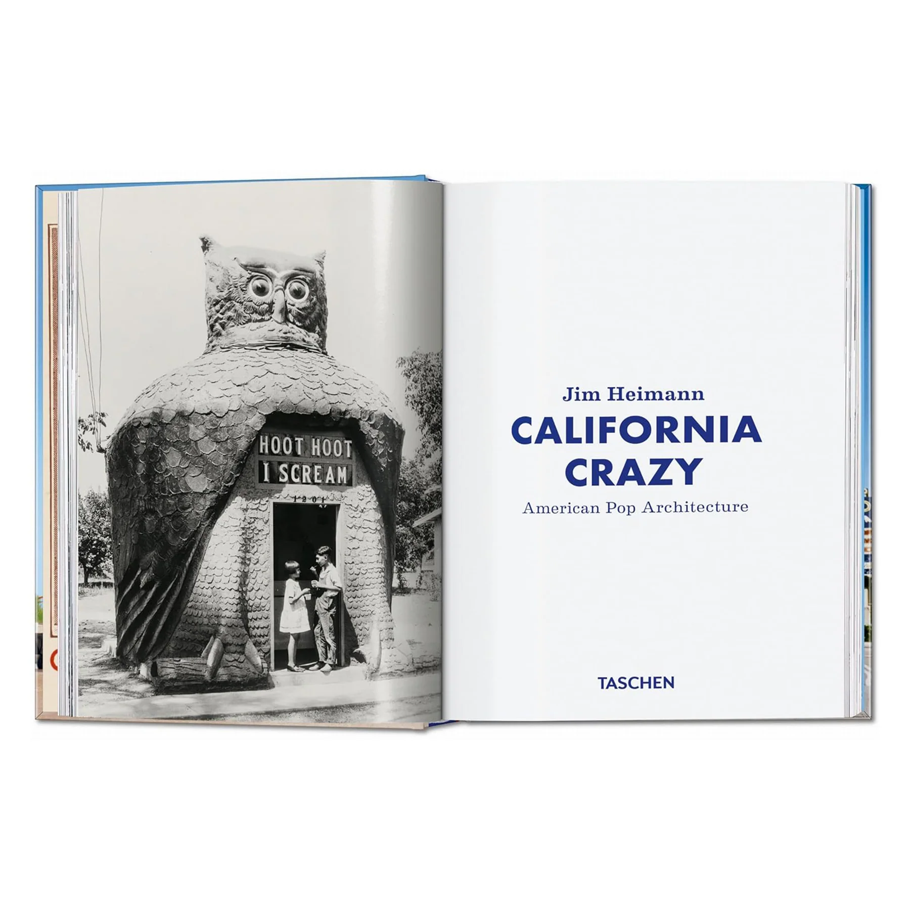 CALIFORNIA CRAZY-AMERICAN POP ARCHITURE - Image 2
