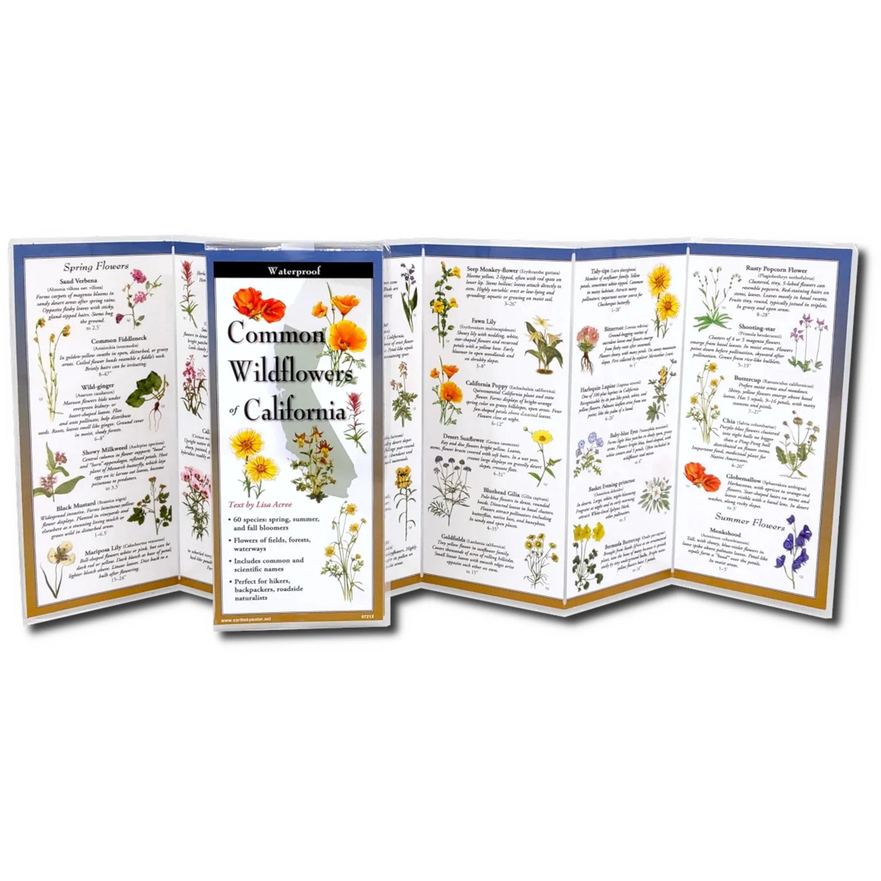 COMMON WILDFLOWERS OF CALIFORNIA FIELD GUIDE - Image 2
