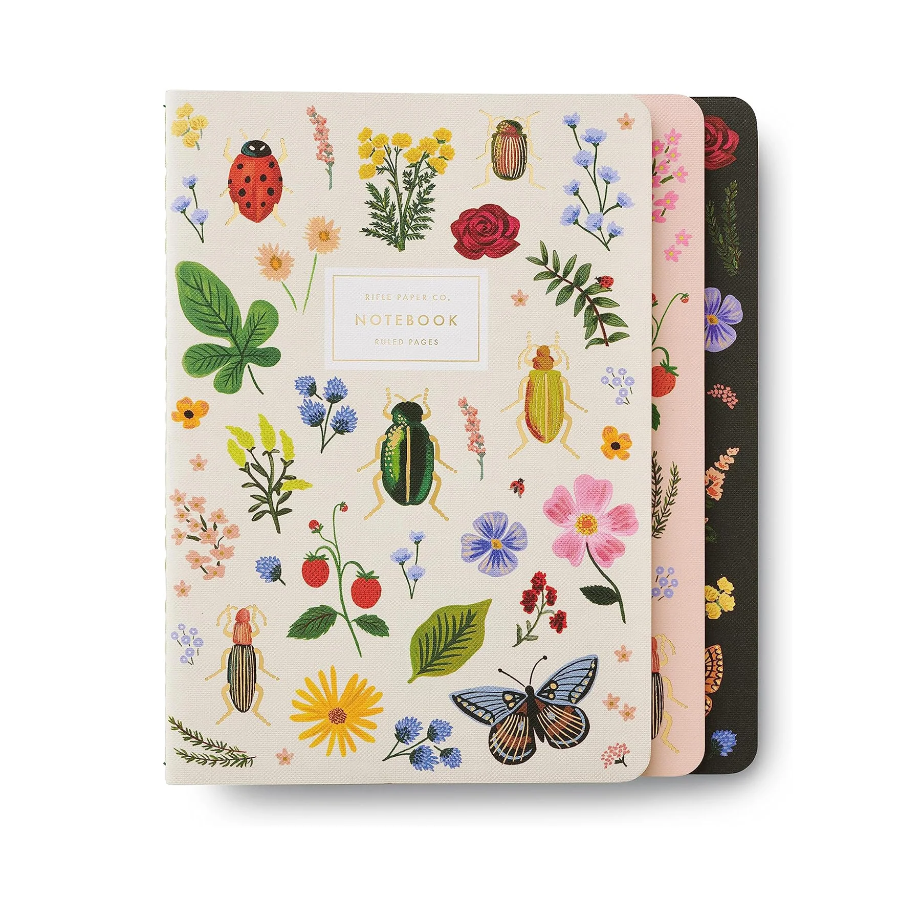 CURIO NOTEBOOK SET