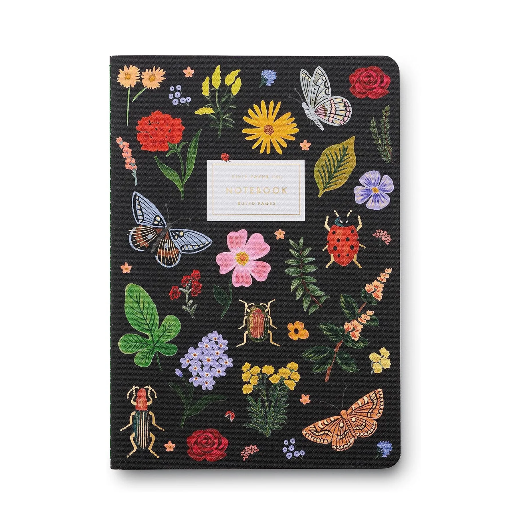 CURIO NOTEBOOK SET - Image 4