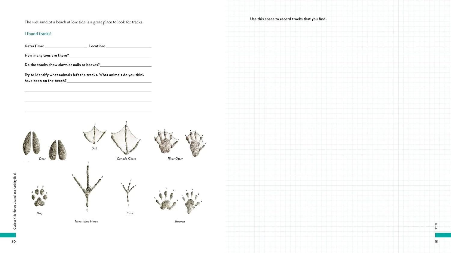 CURIOUS KIDS NATURE JOURNAL - Image 3