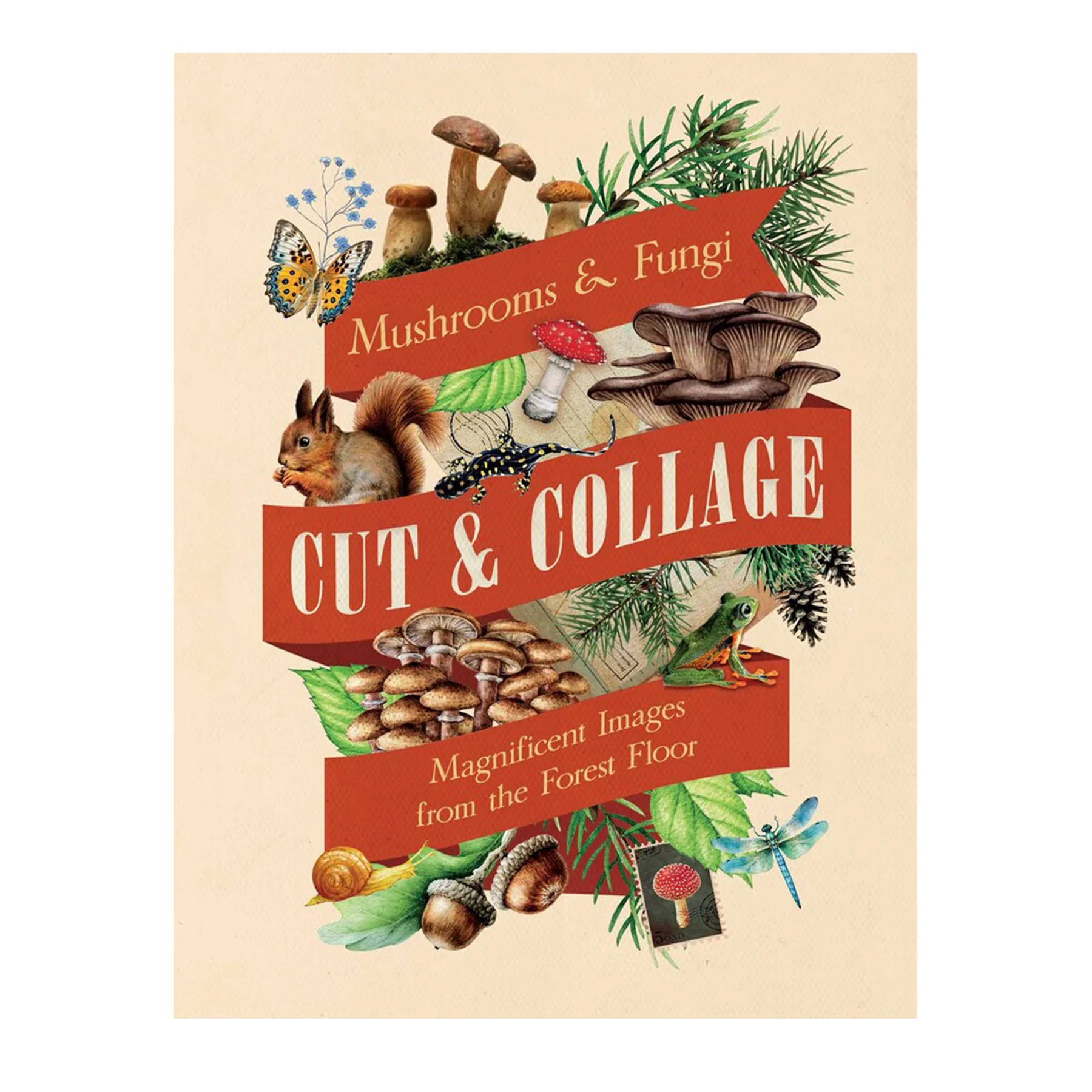 CUT AND COLLAGE MUSHROOMS AND FUNGI
