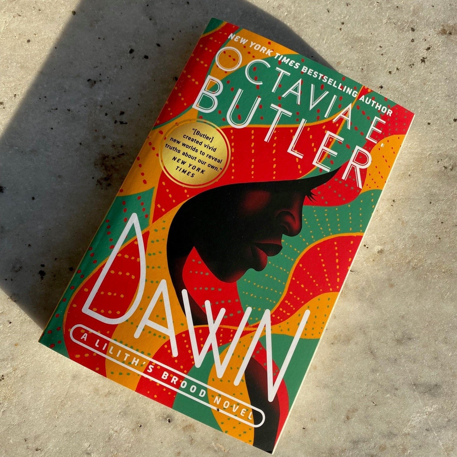 DAWN - Image 2