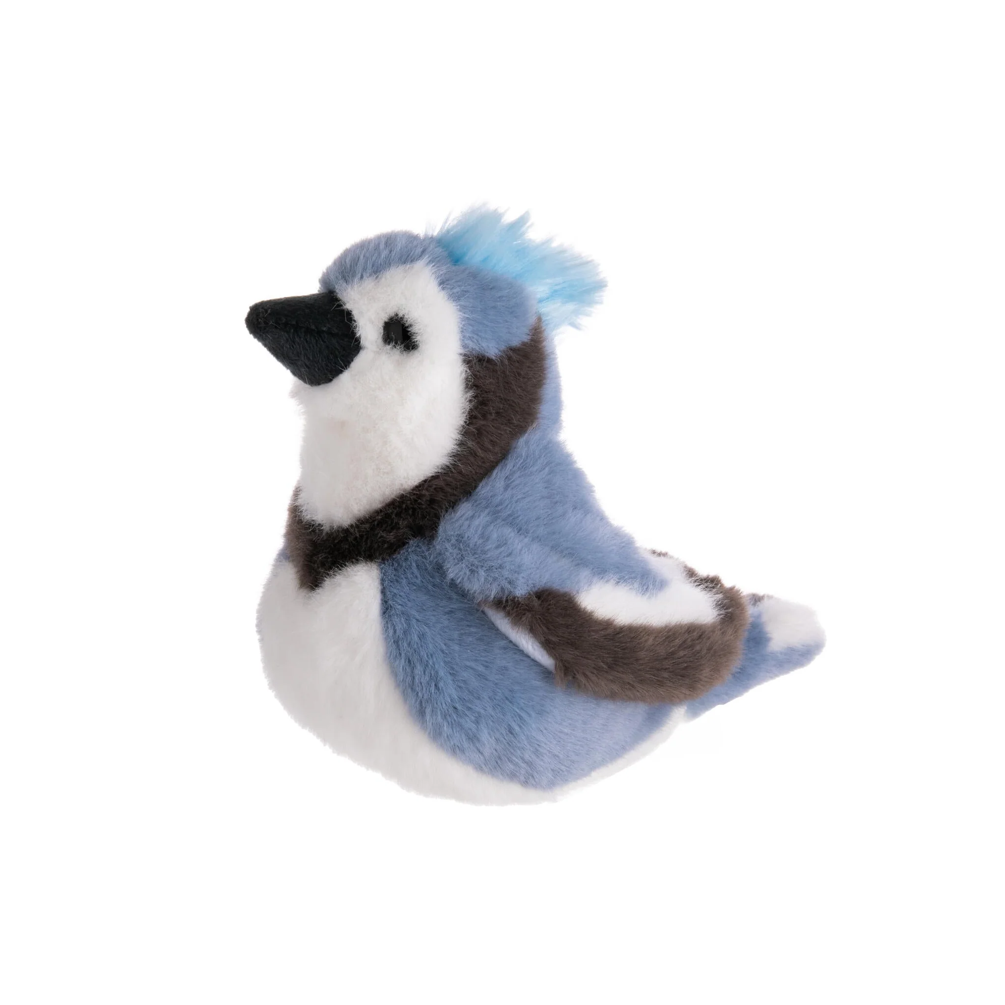DENIM THE BLUE JAY