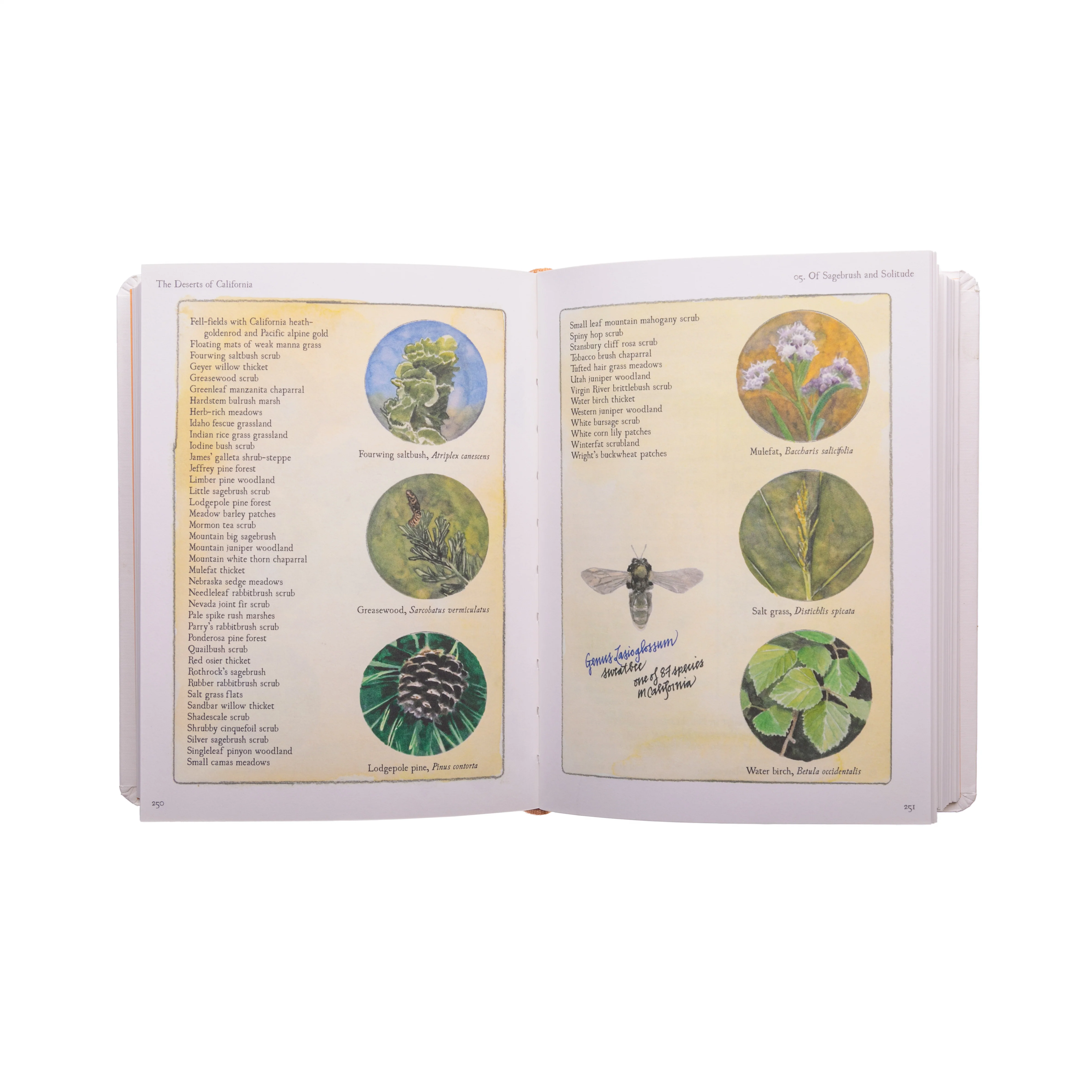 THE DESERTS OF CALIFORNIA:  A CALIFORNIA FIELD ATLAS - Image 4