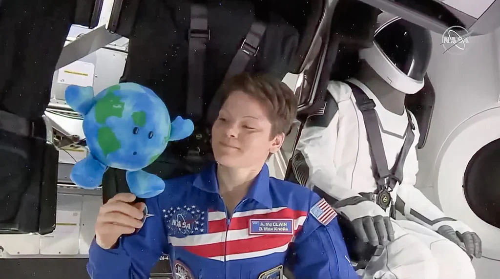 EARTH BUDDY PLUSH - Image 3