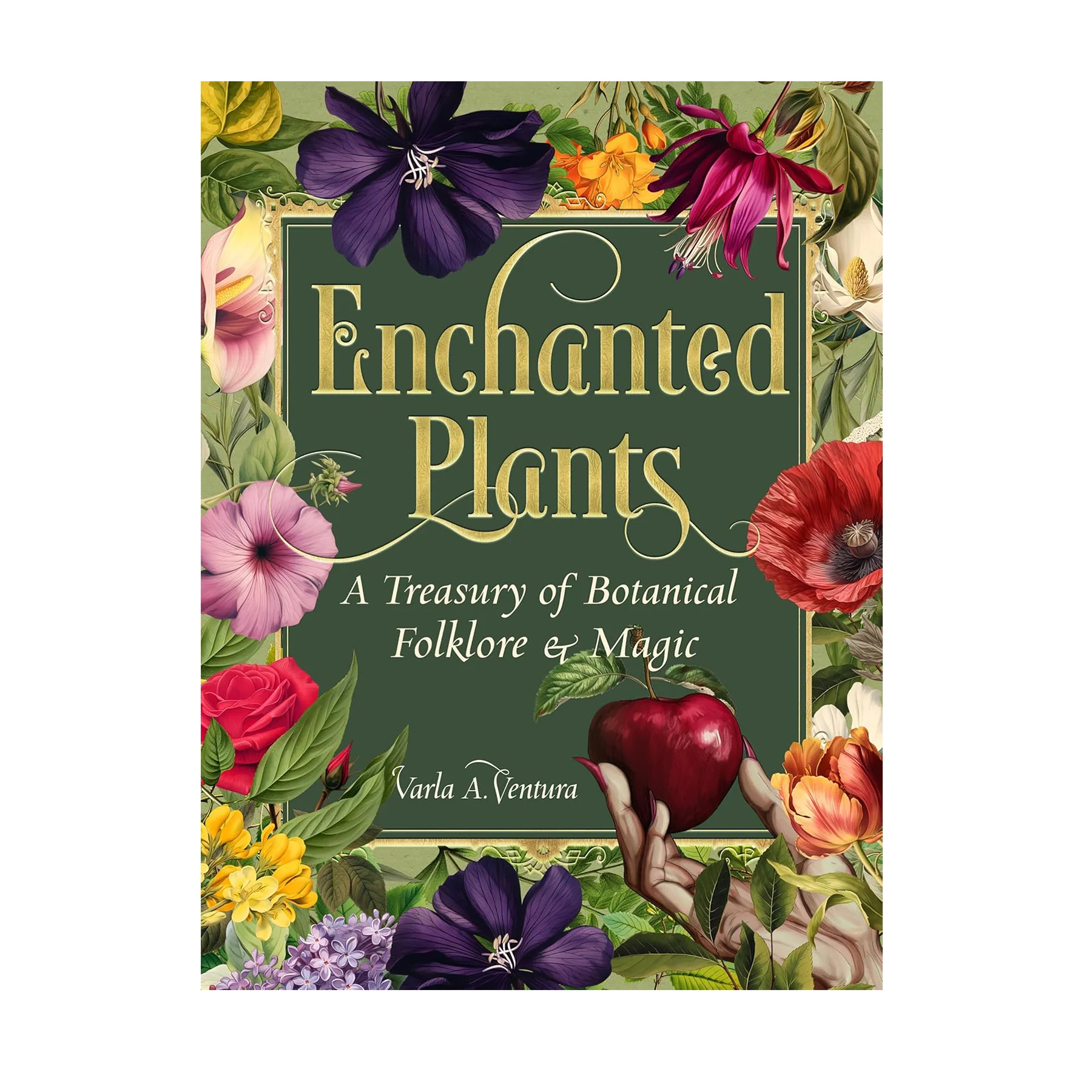 ENCHANTED PLANTS: A TREASURY OF BOTANICAL FOLKLORE & MAGIC