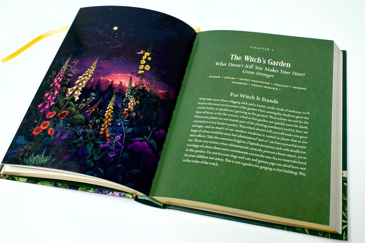 ENCHANTED PLANTS: A TREASURY OF BOTANICAL FOLKLORE & MAGIC - Image 3