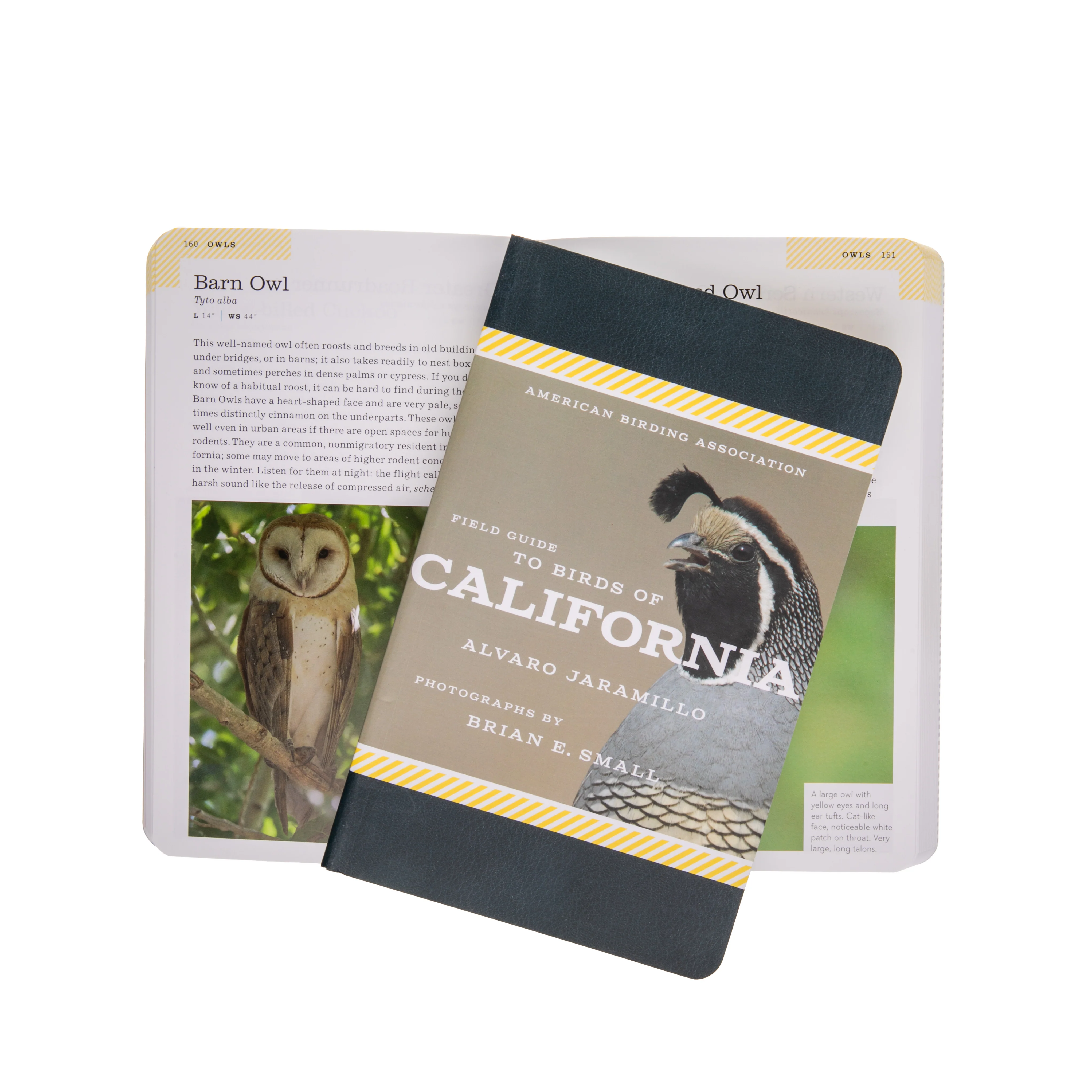 FIELD GUIDE TO BIRDS OF CALIFORNIA