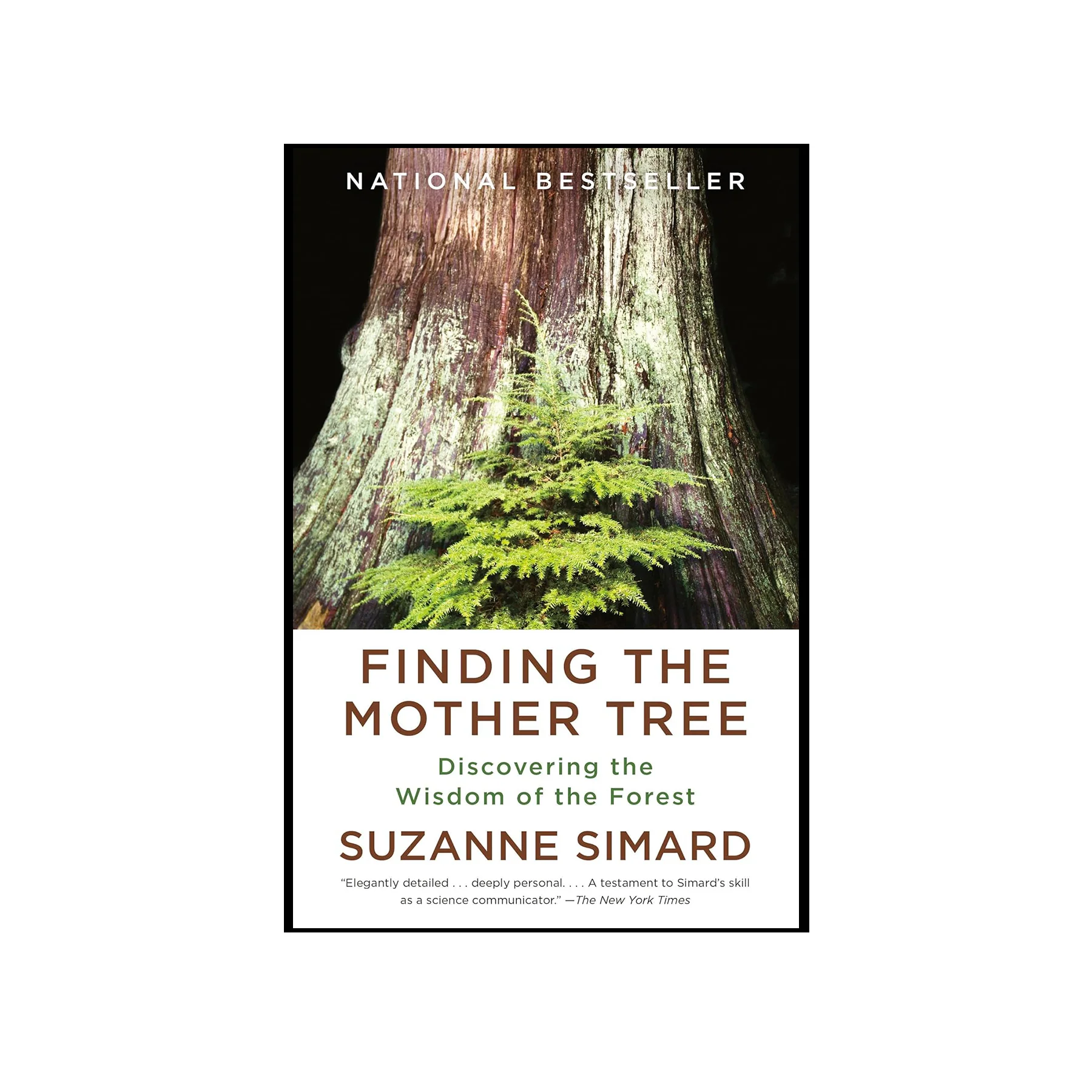 FINDING THE MOTHER TREE