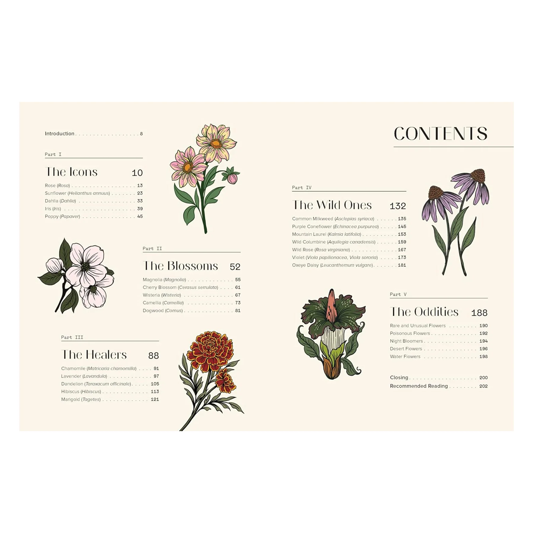 FLORAPHILE'S ALMANAC: AN ILLUSTRATED MISCELLANY - Image 2
